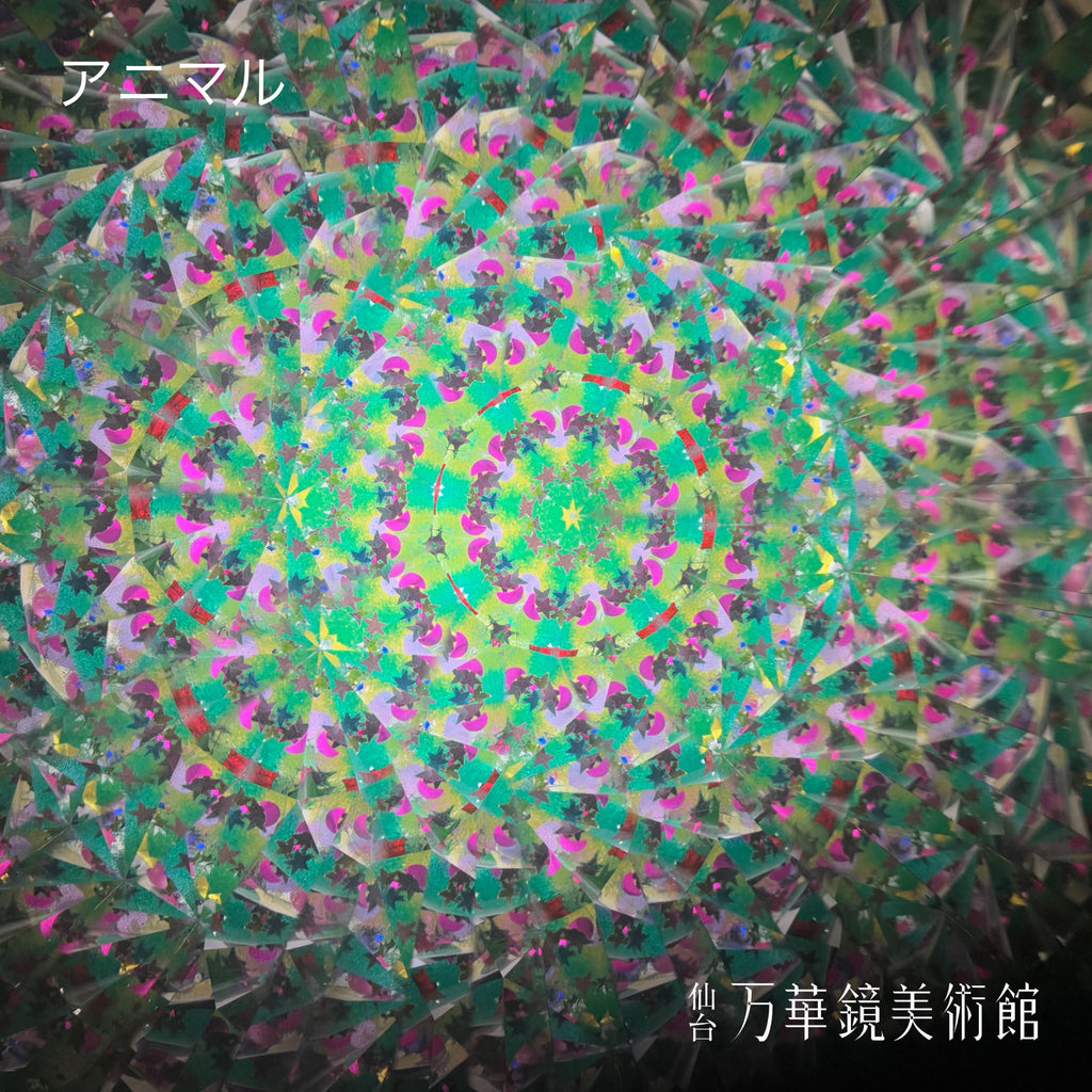 らせんワンドスコープ