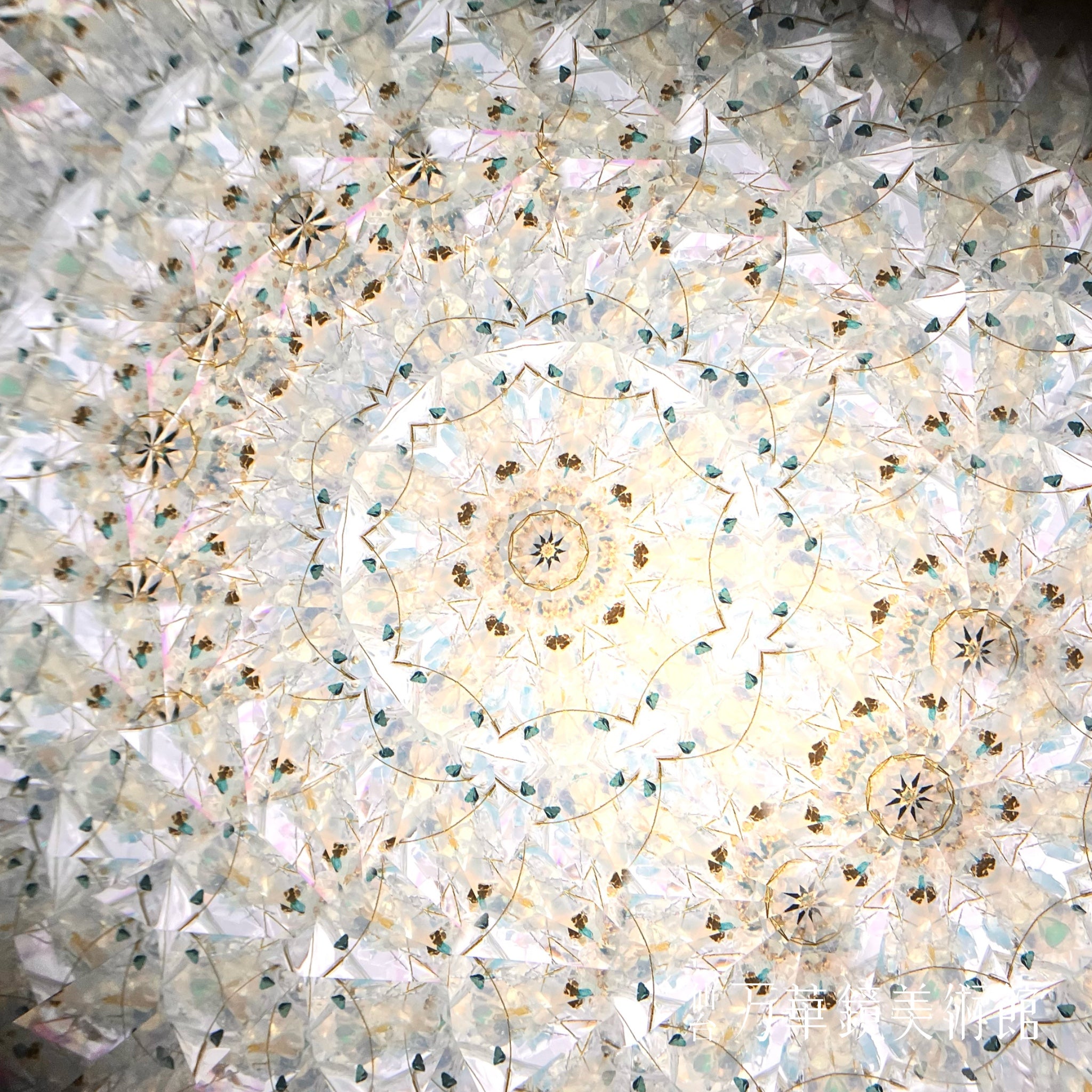 Peacock dreams 白孔雀