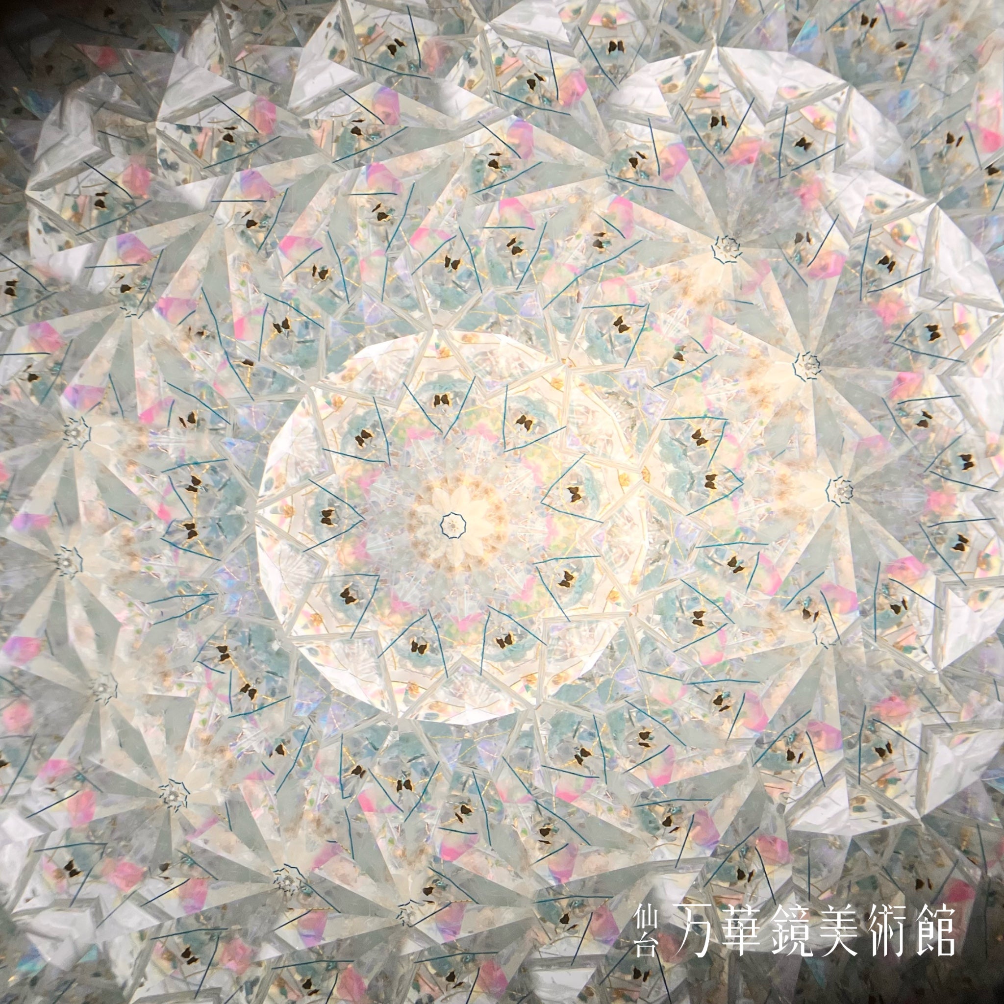 Peacock dreams 白孔雀