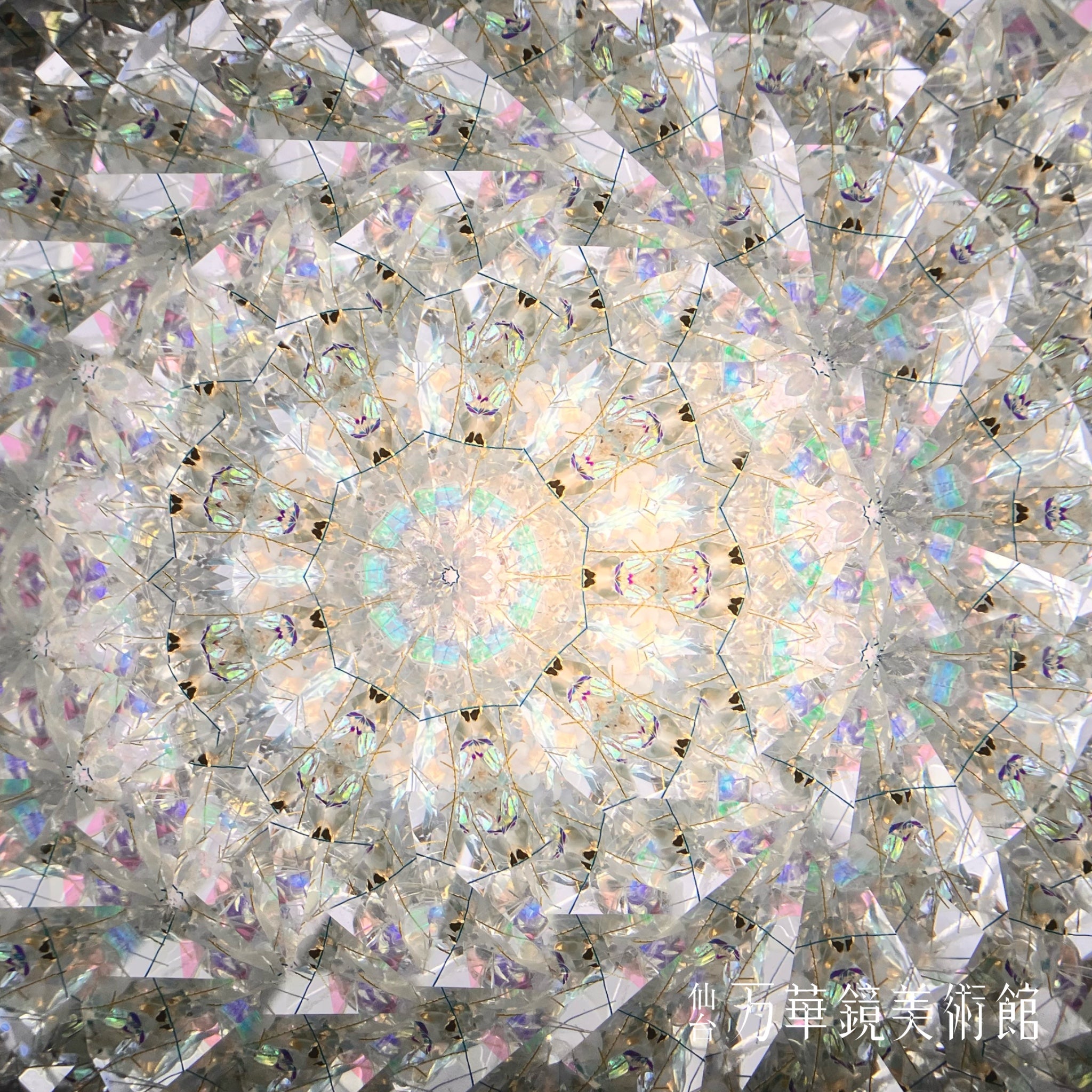 Peacock dreams 白孔雀