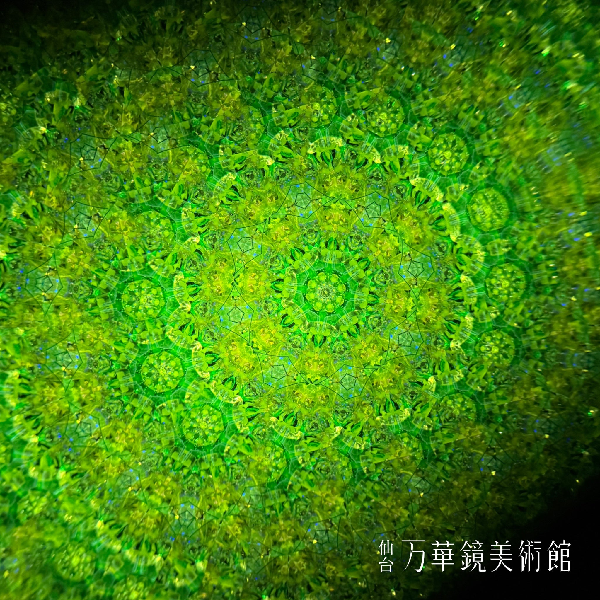 麗らか(uraraka)-The dreams of flowers-