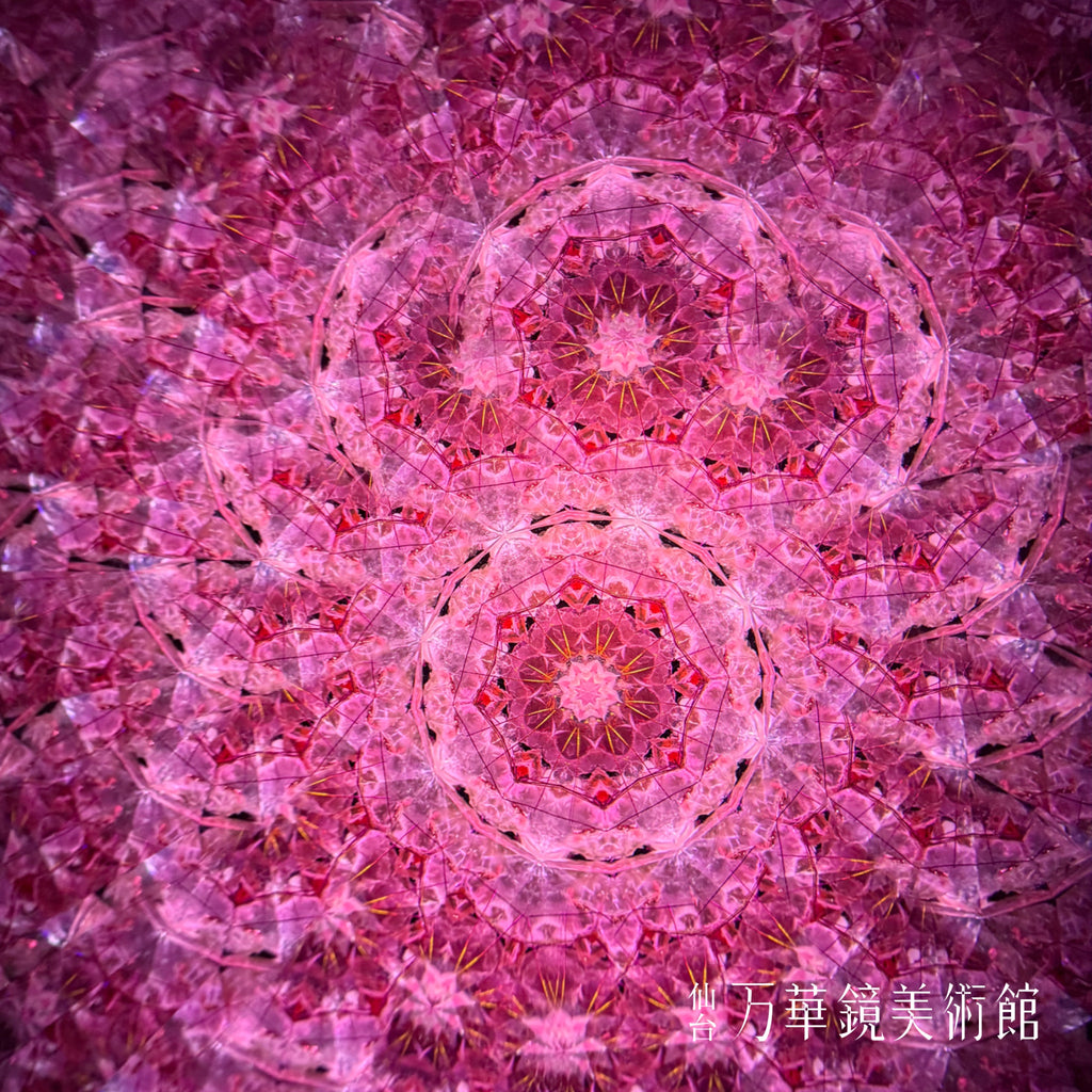 麗らか(uraraka)-The dreams of flowers-