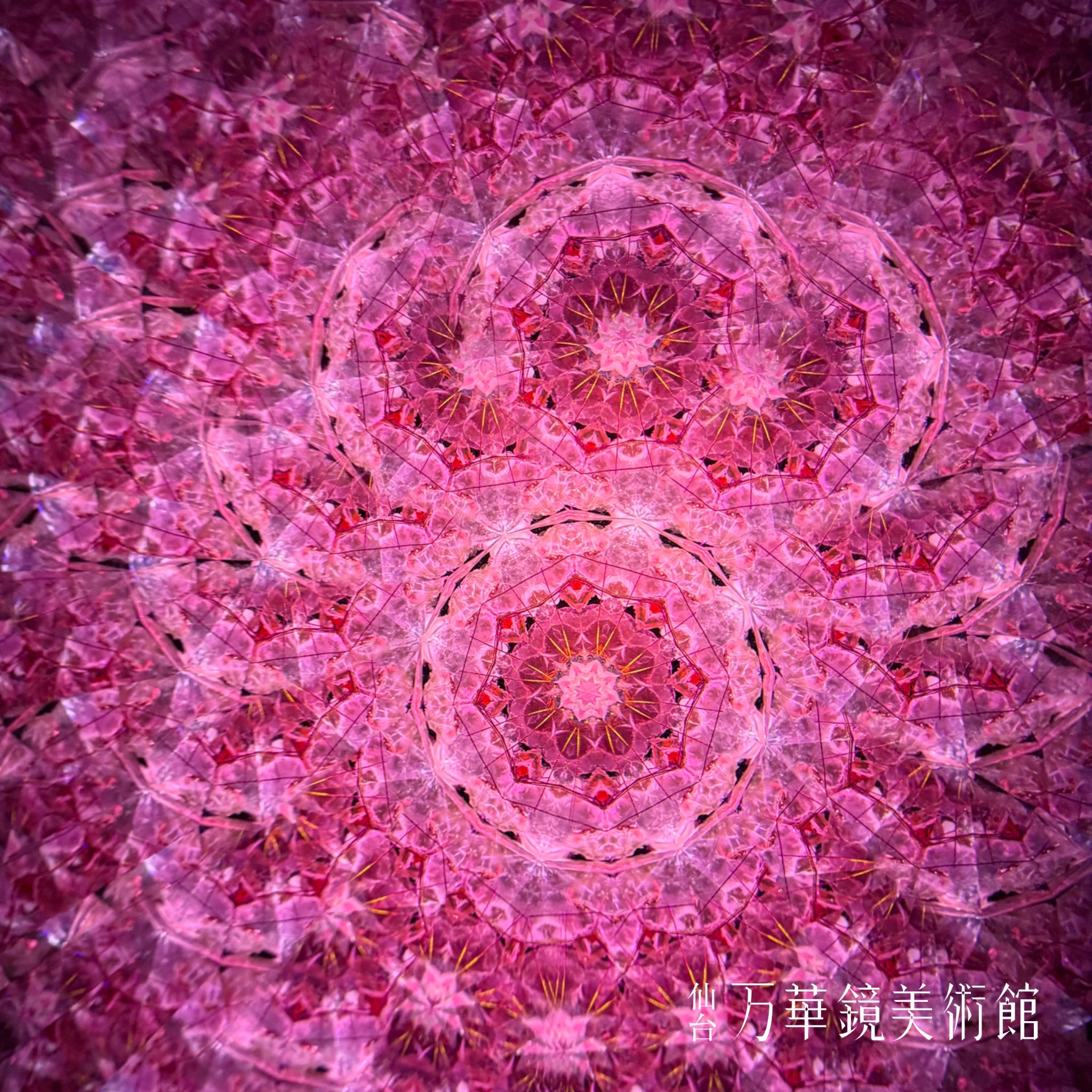 麗らか(uraraka)-The dreams of flowers-