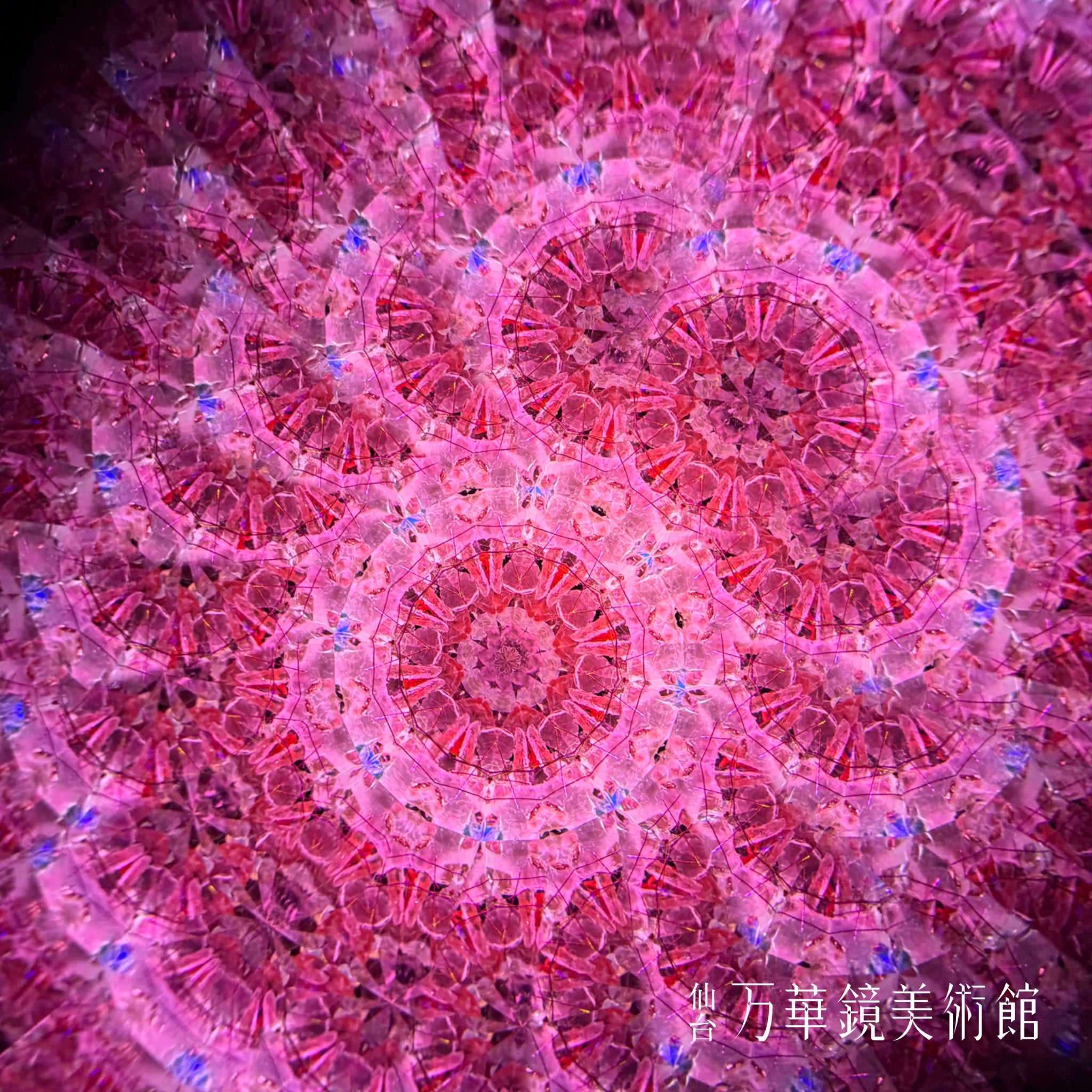 麗らか(uraraka)-The dreams of flowers-