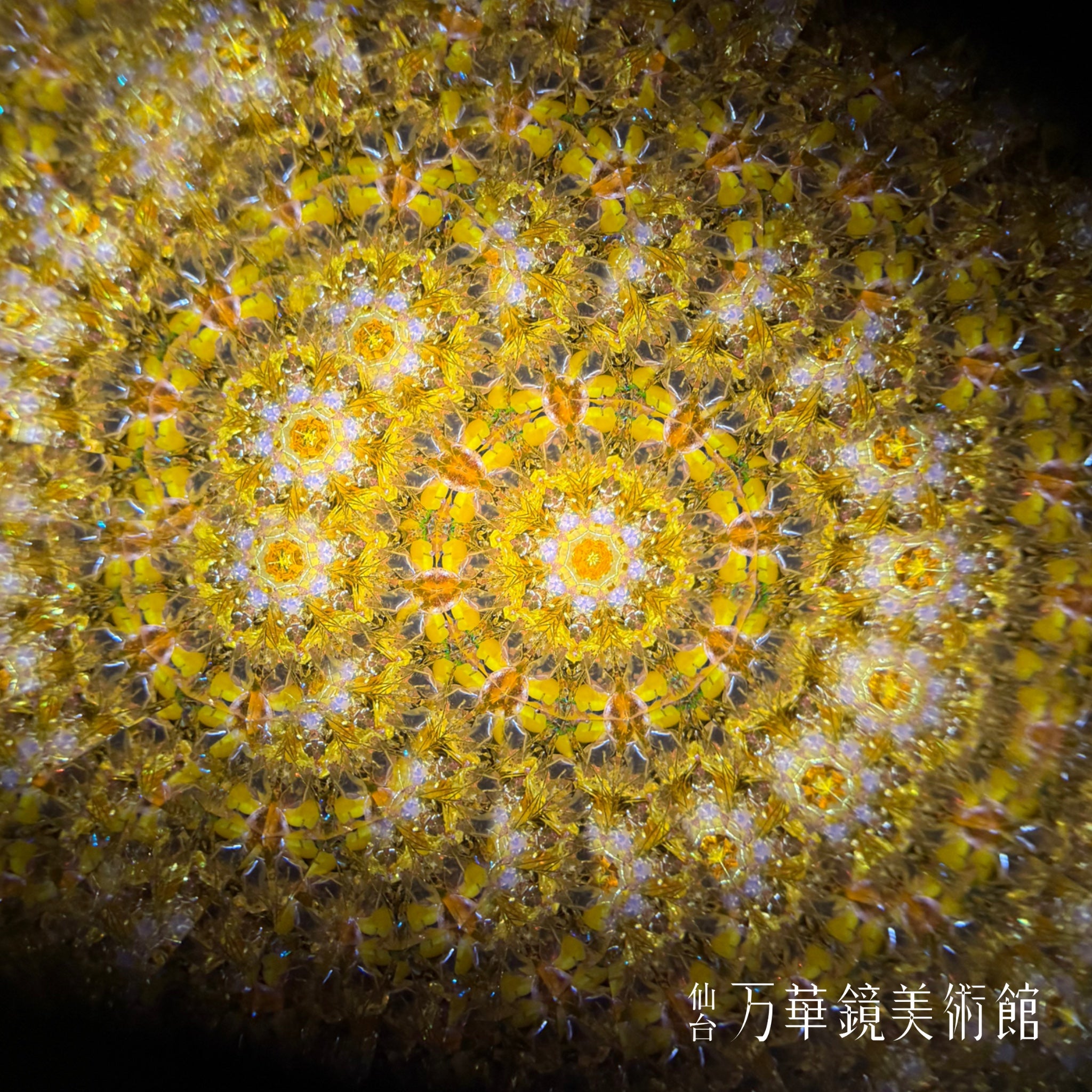 麗らか(uraraka)-The dreams of flowers-