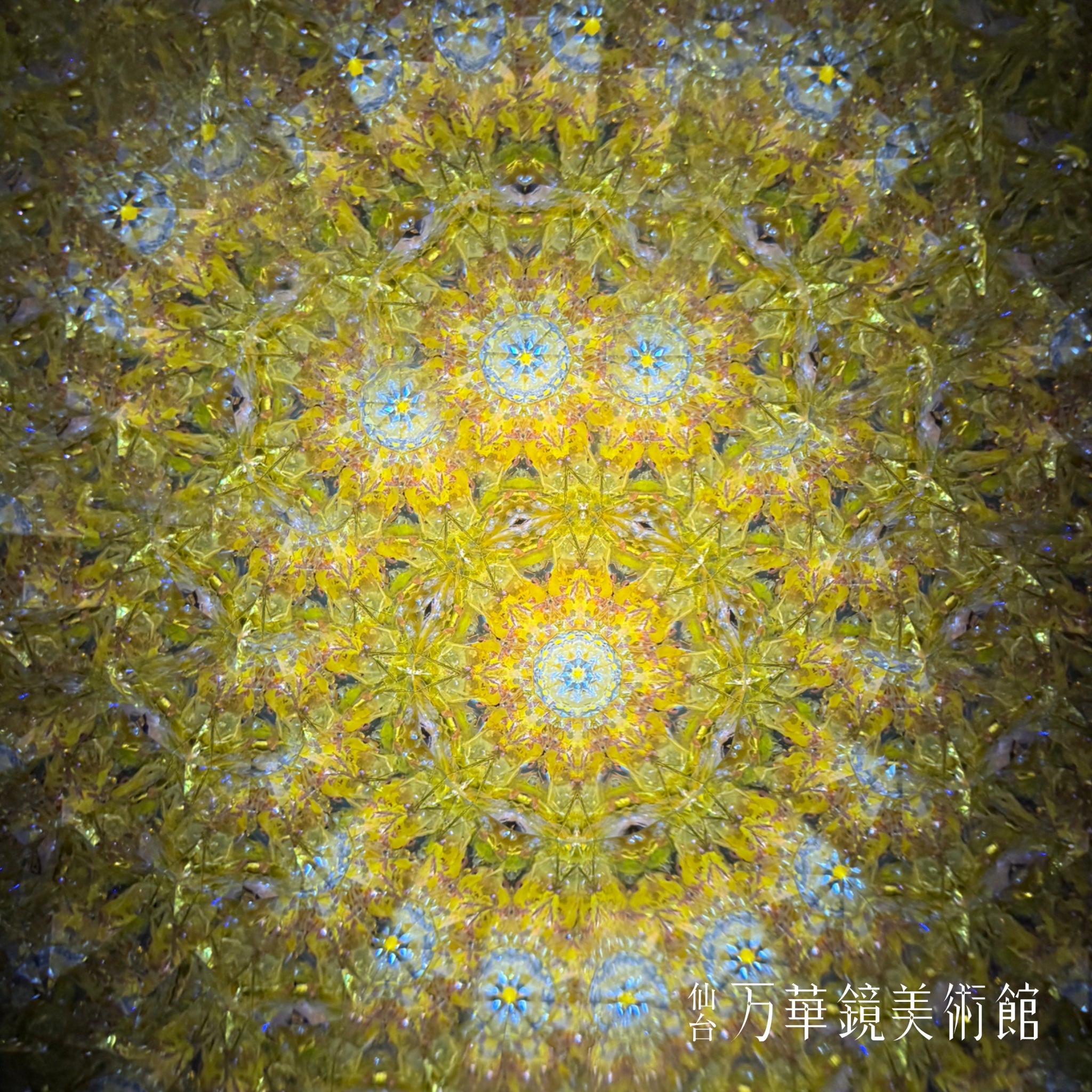 麗らか(uraraka)-The dreams of flowers-