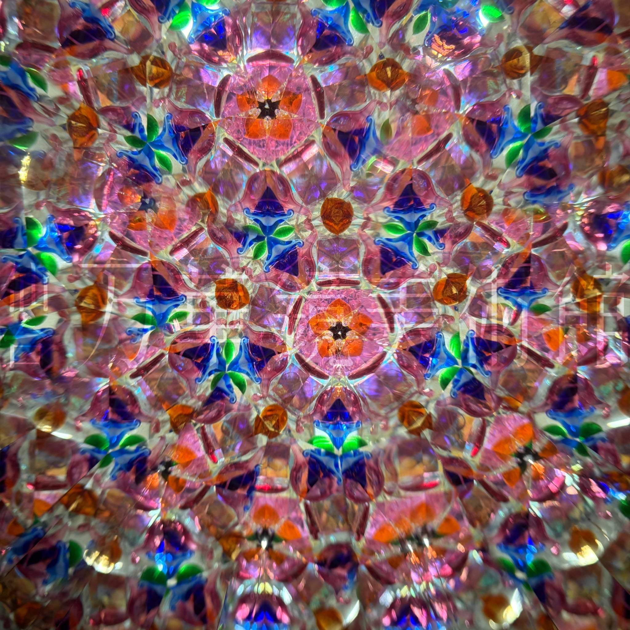 和布桜オイル