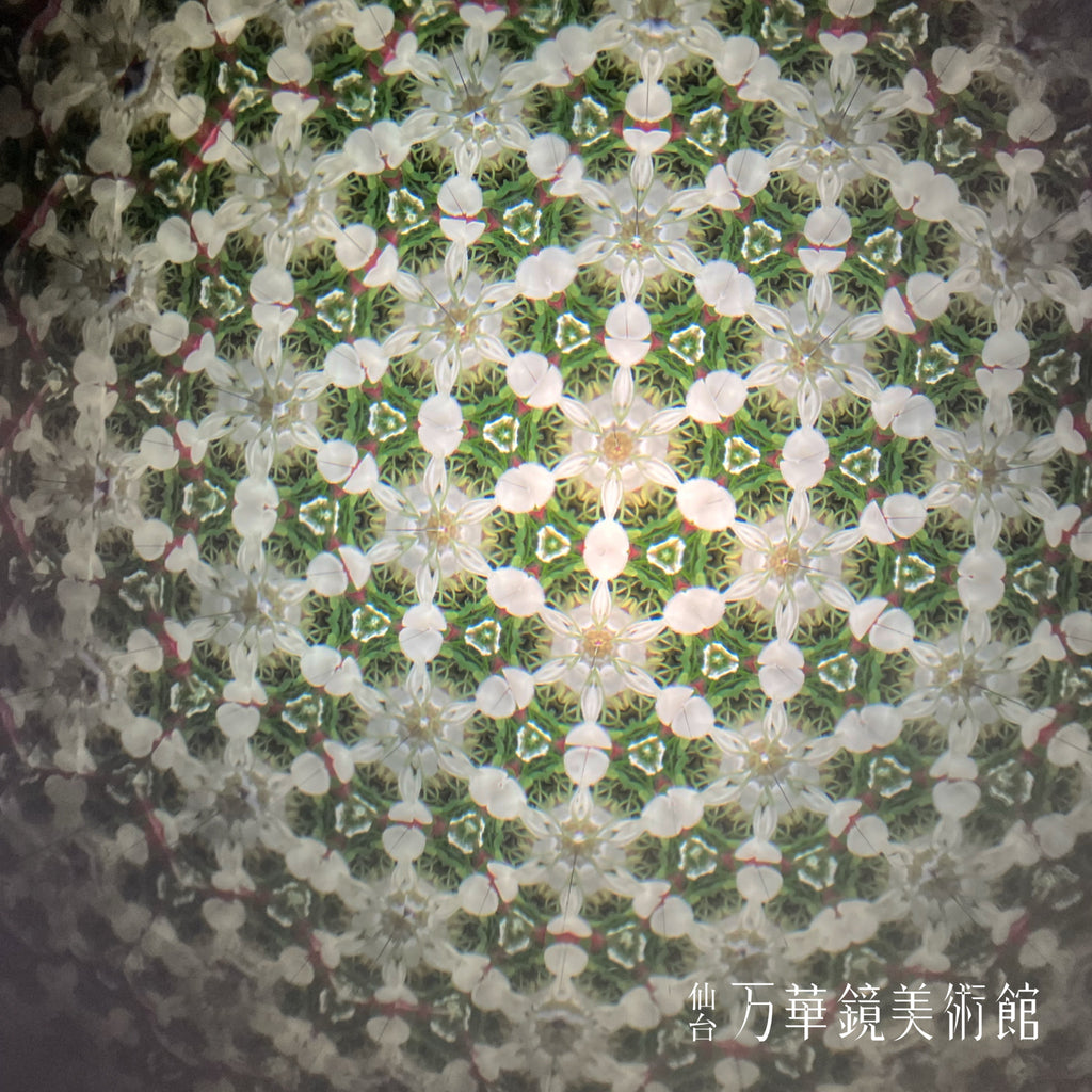 テレイドスコープ クリスタルスノー