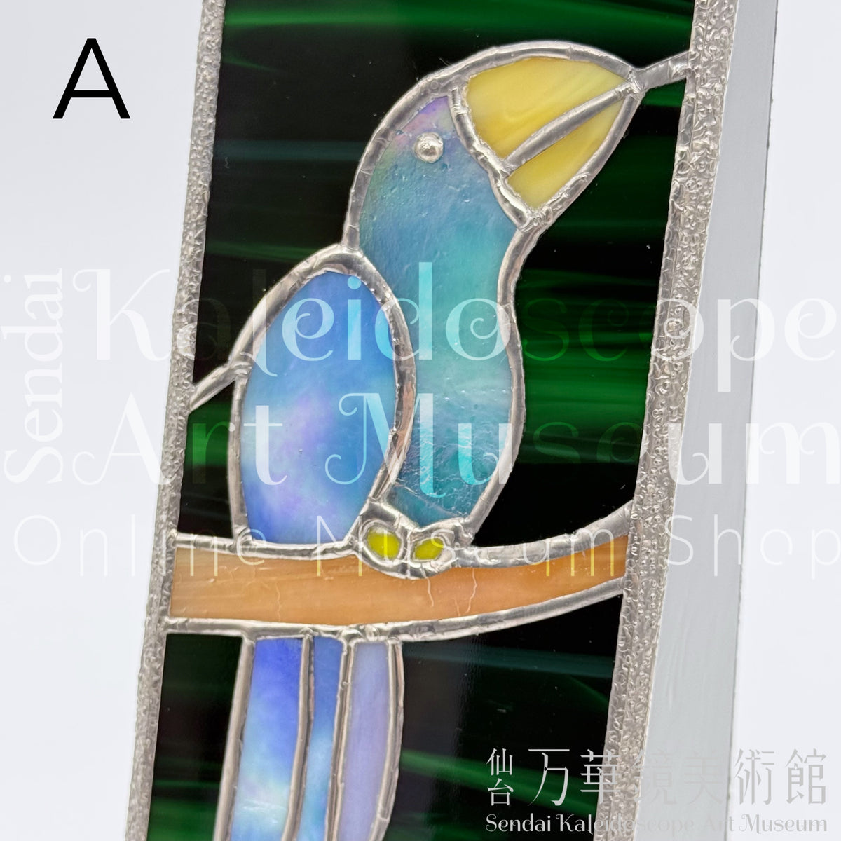 Toucan