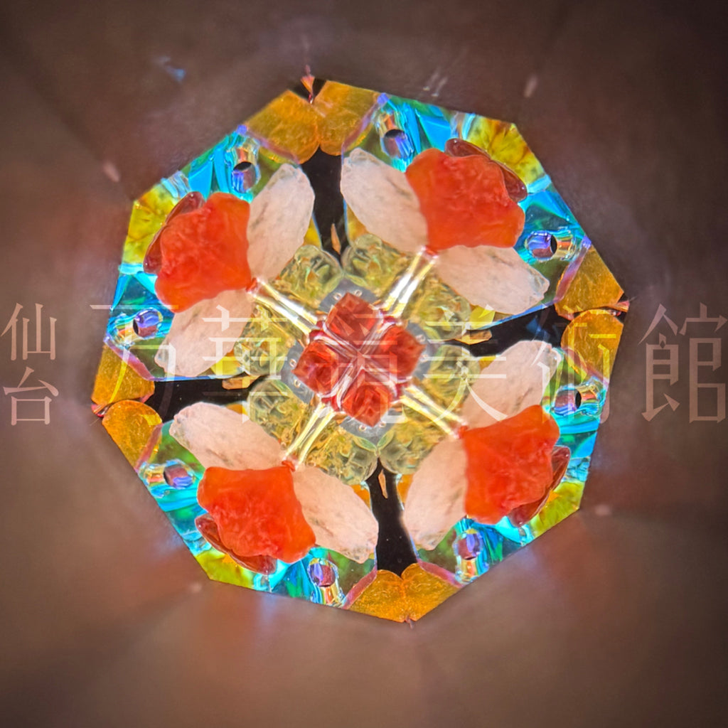 虹の星L　細胞