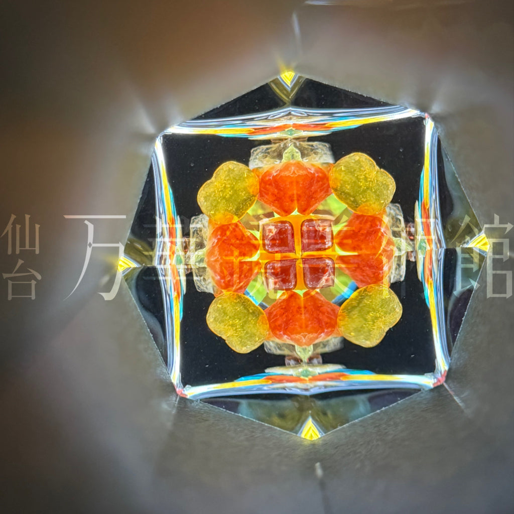 虹の星L　細胞