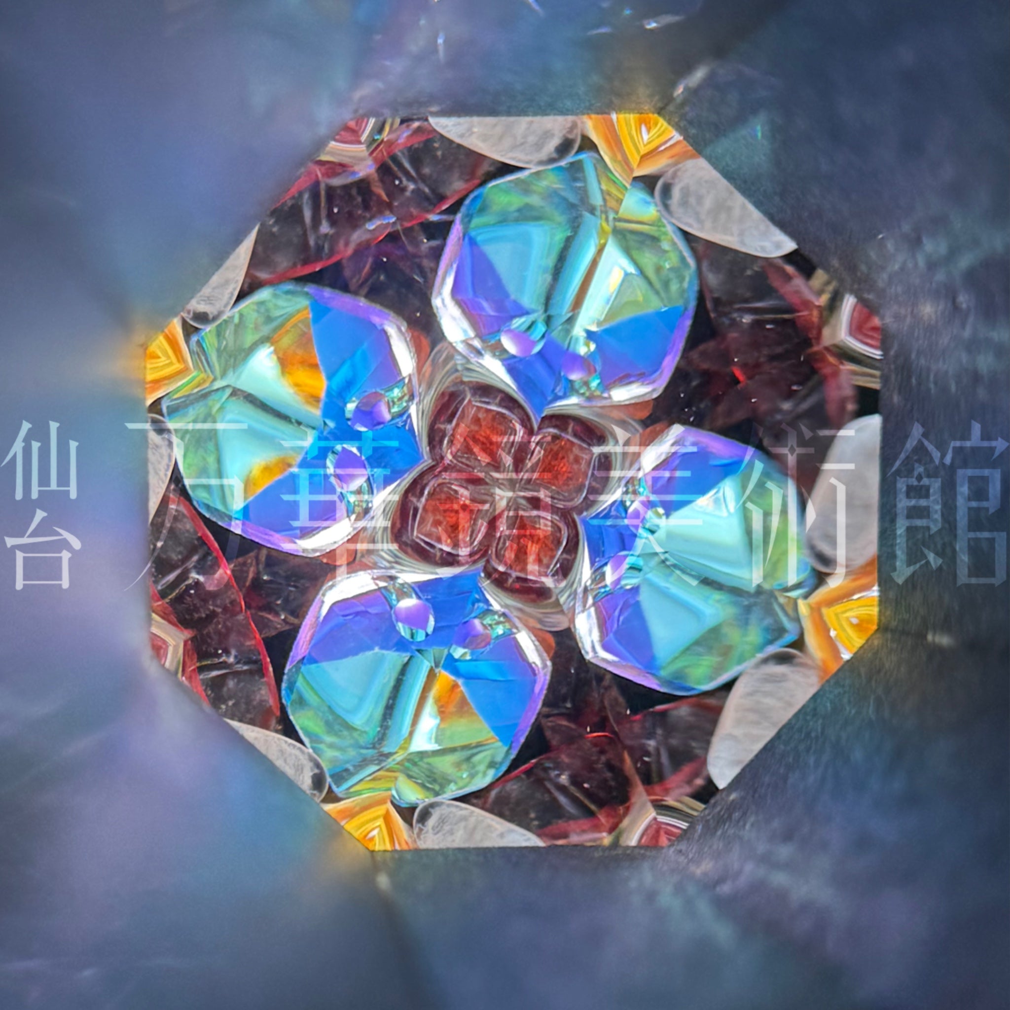 虹の星L　細胞