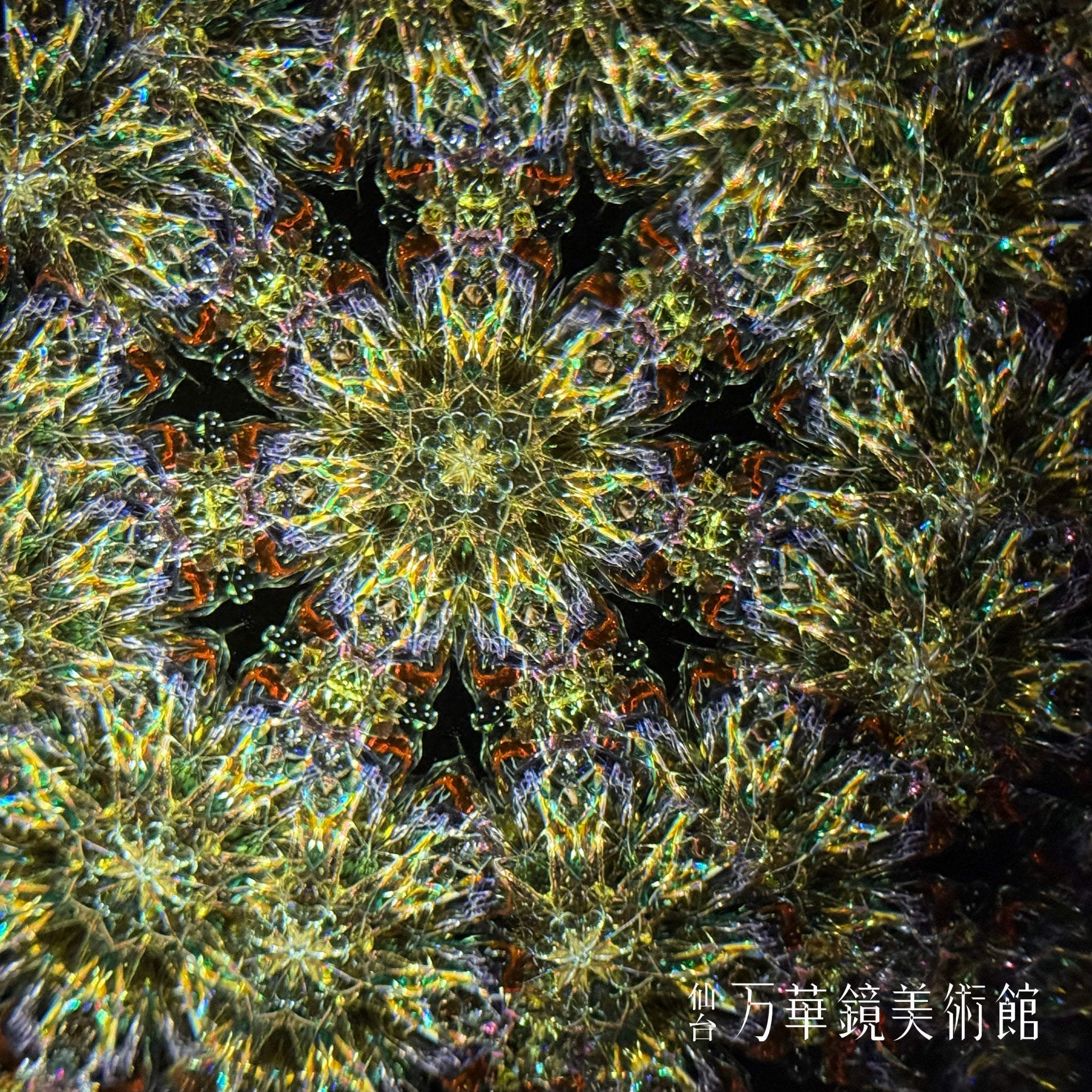 ティーチの秘宝