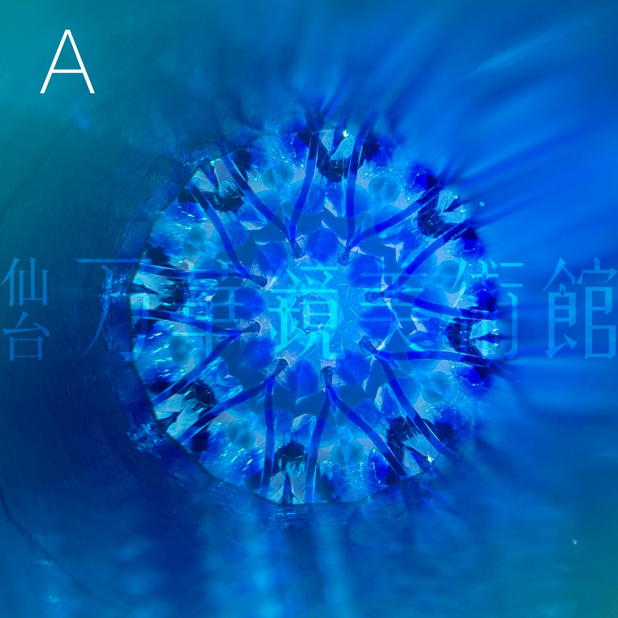 彩流