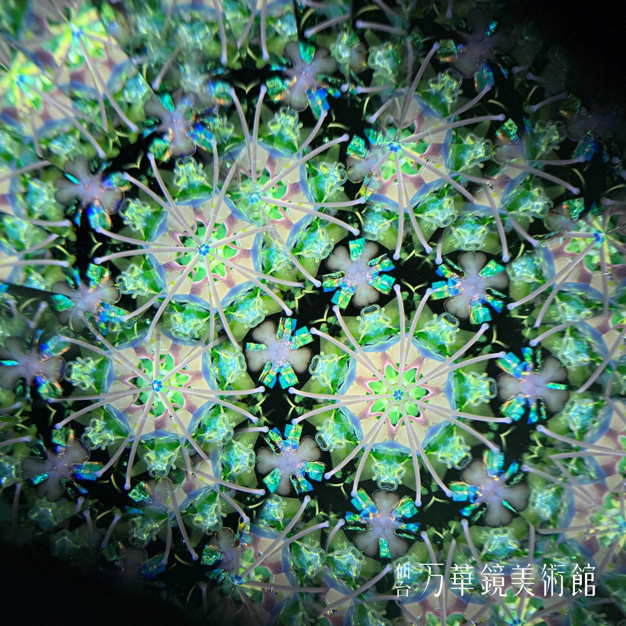 蝶（ピンク）