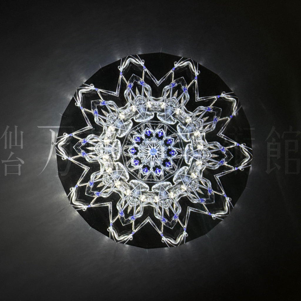 Close Encounter048「Vega」