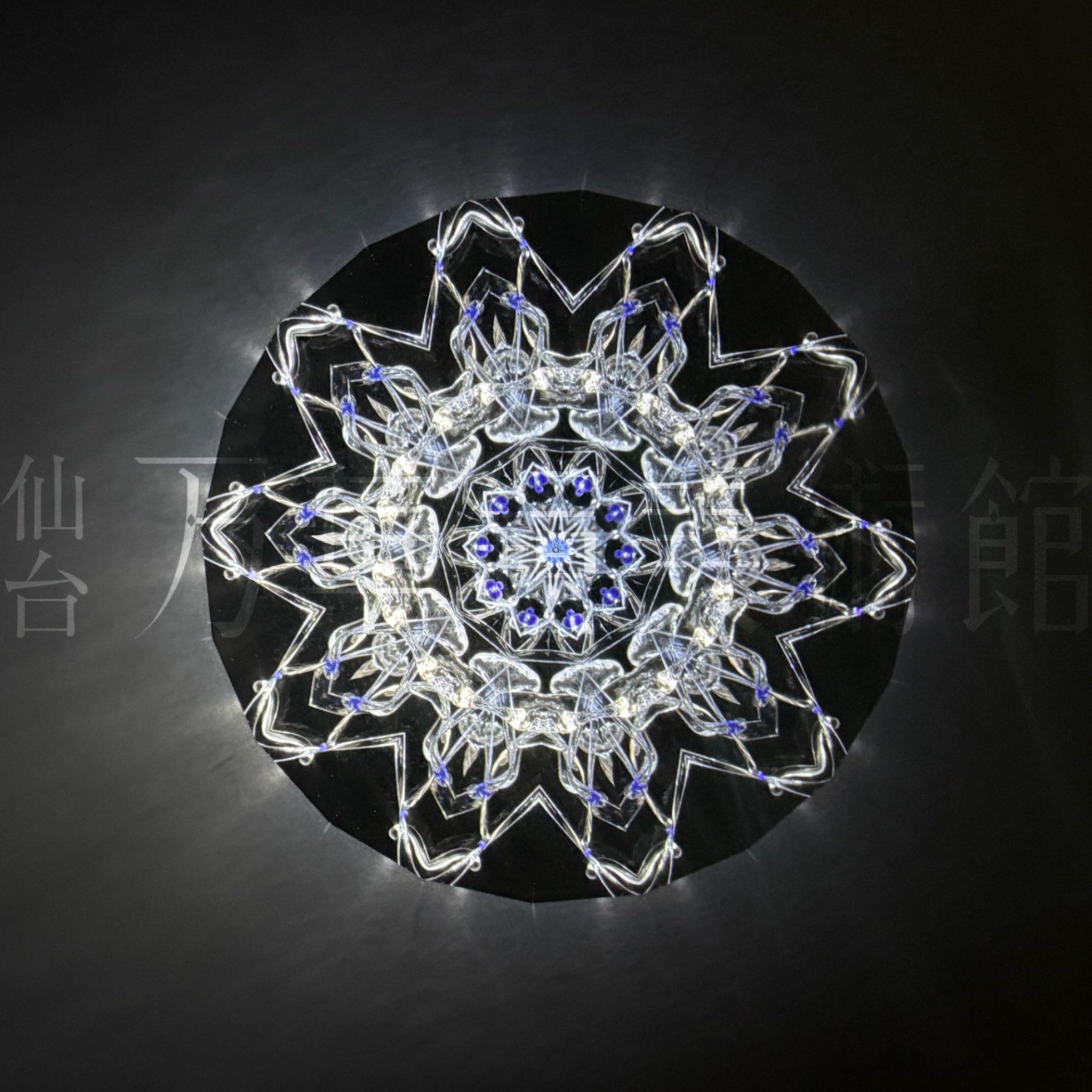Close Encounter048「Vega」