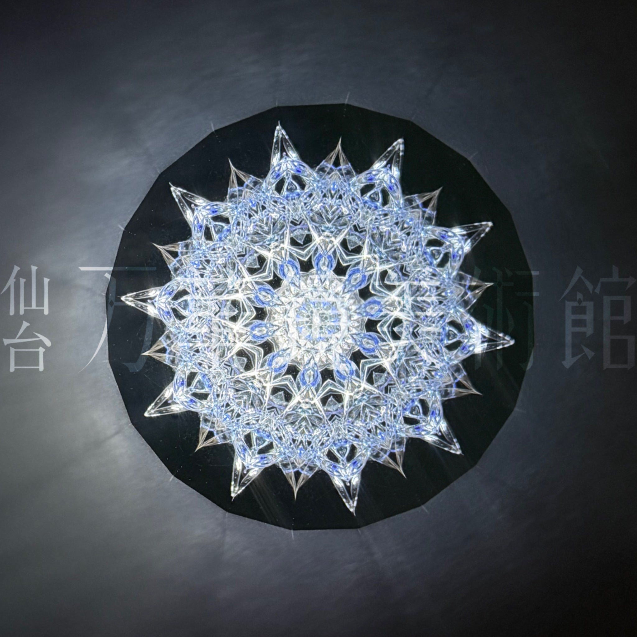 Close Encounter048「Vega」