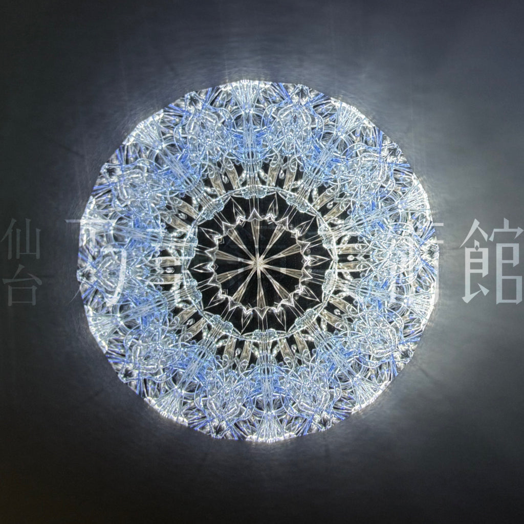Close Encounter048「Vega」