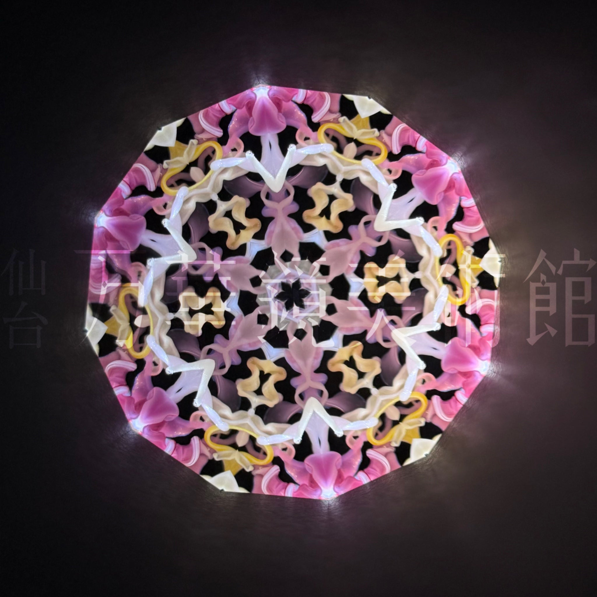 夜香華-ピンク