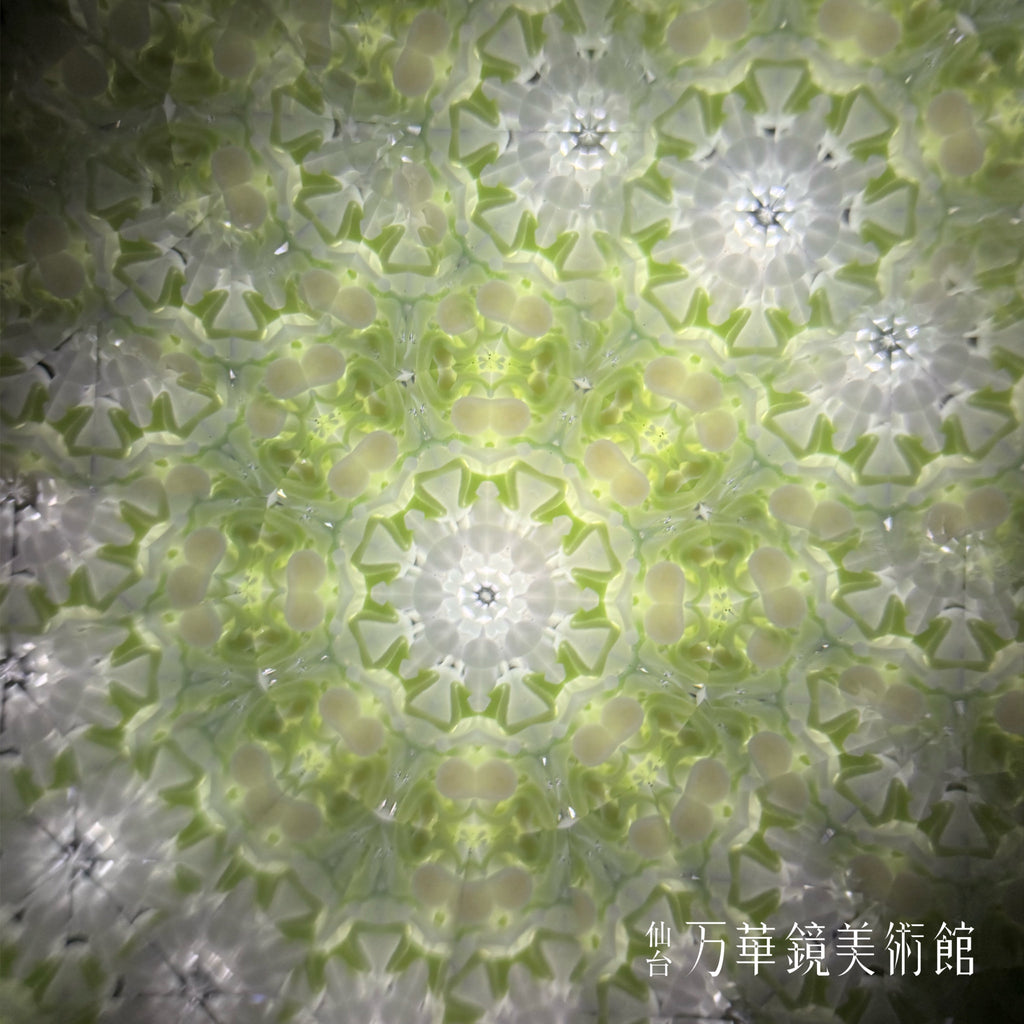 ポッピングシャワー（かたおかx佐藤）