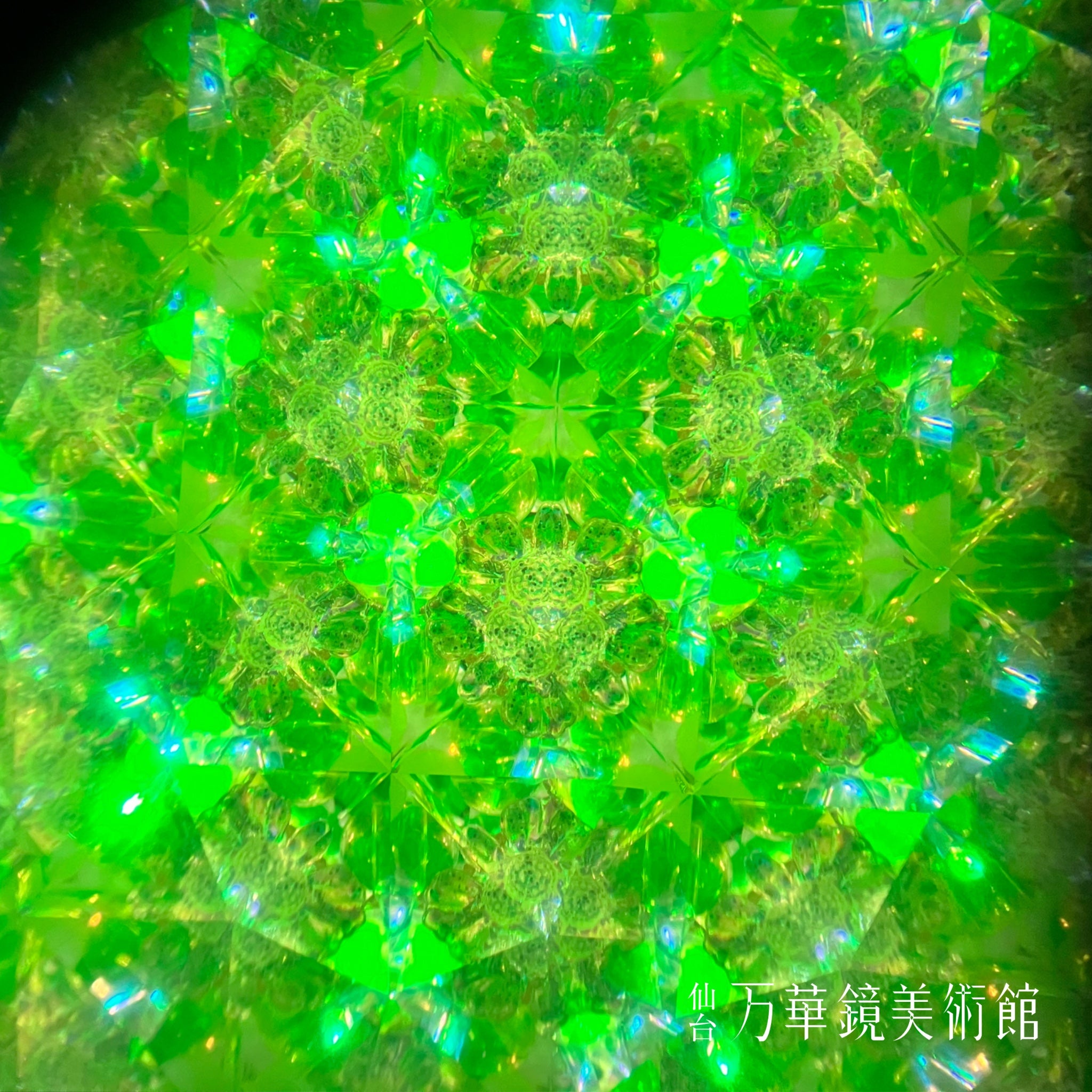 Hello Butterfly-GREEN