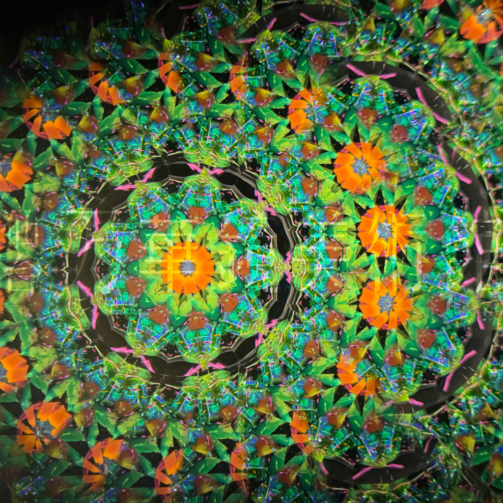 Luminous -MULTI-