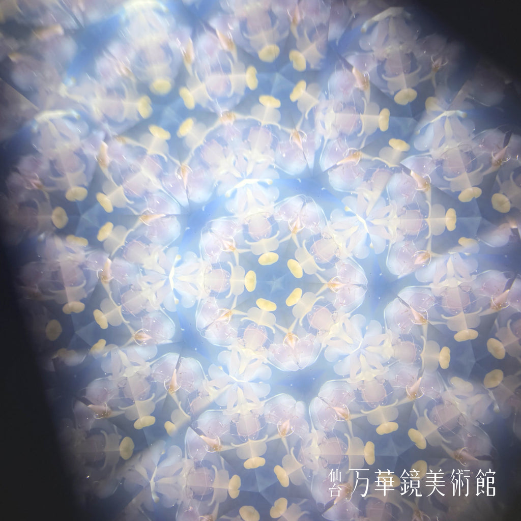 Spring day～sakura～