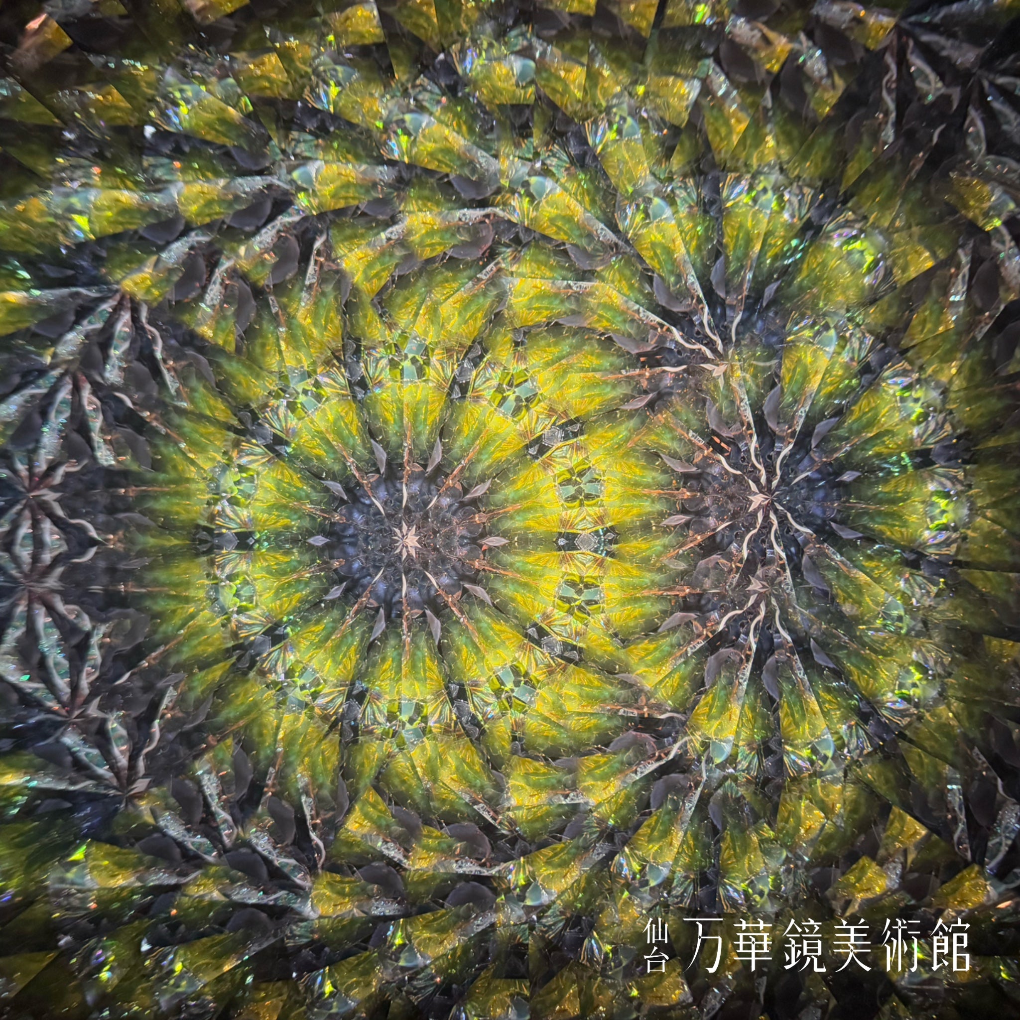 秋草　ハンドヘルド