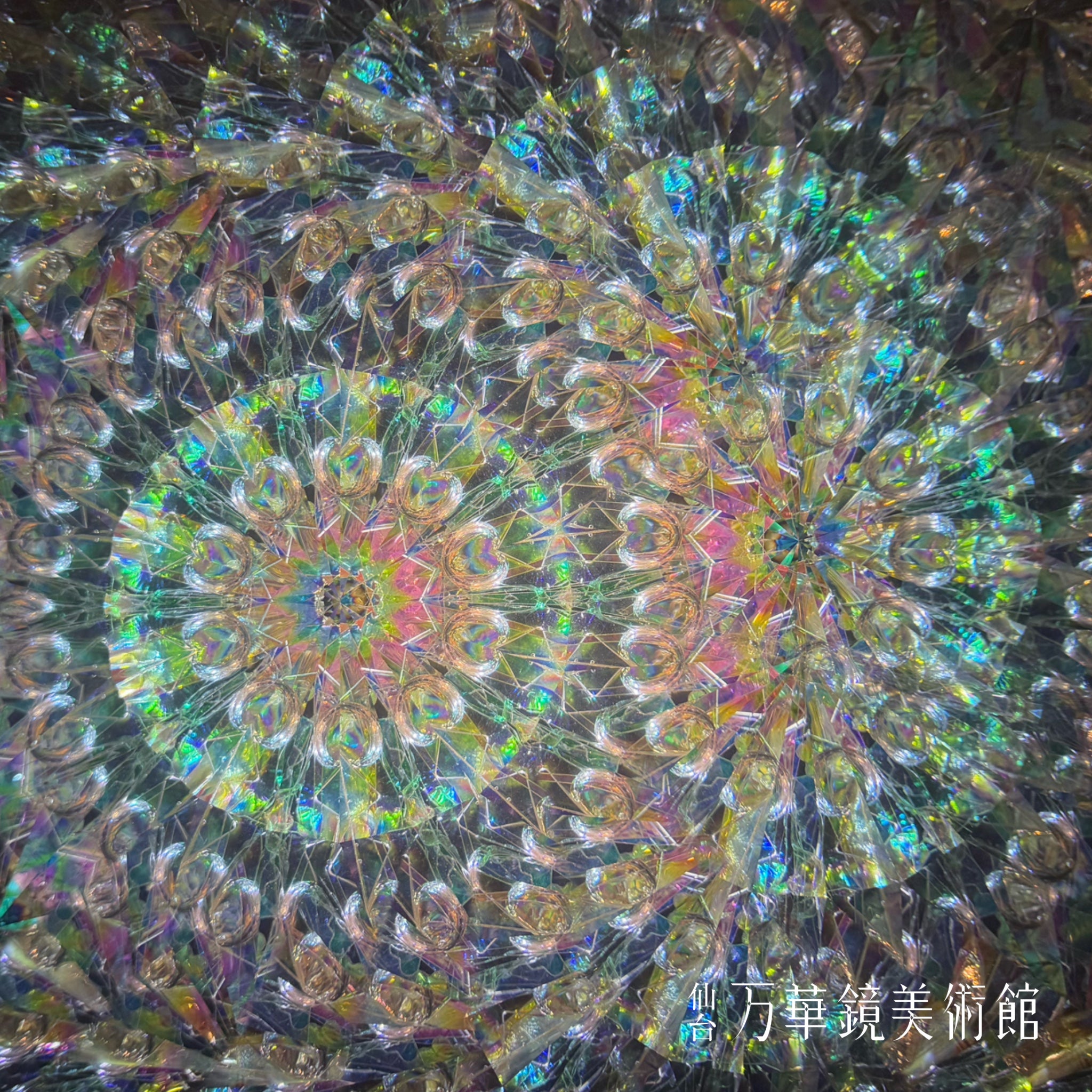 秋草　ハンドヘルド