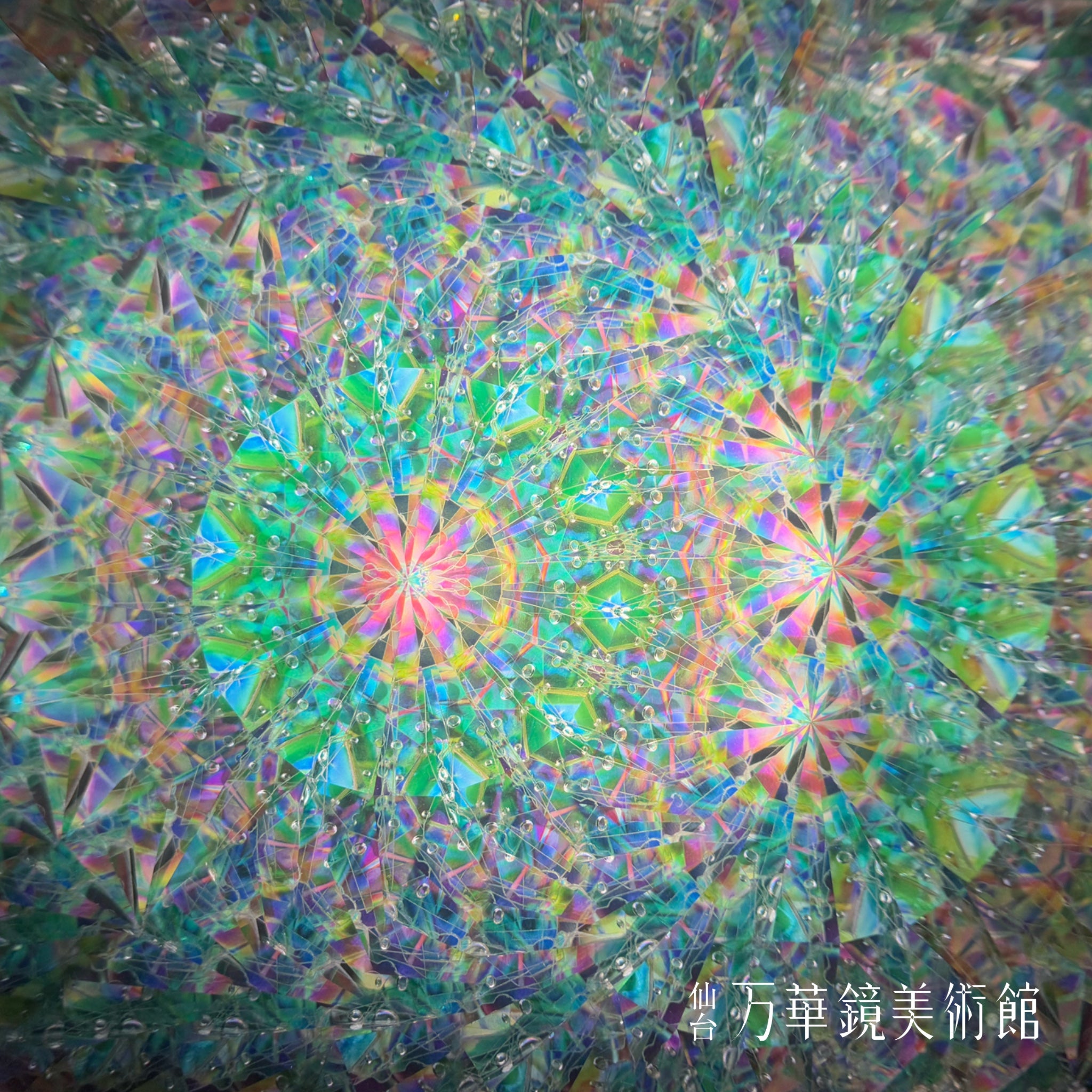 蝶紋様（Cho monyo）