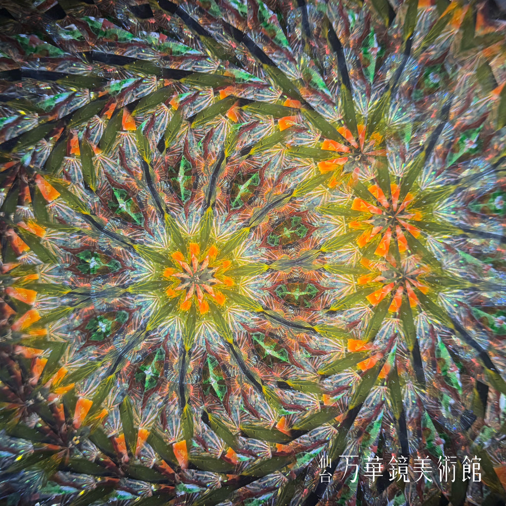 蝶紋様（Cho monyo）