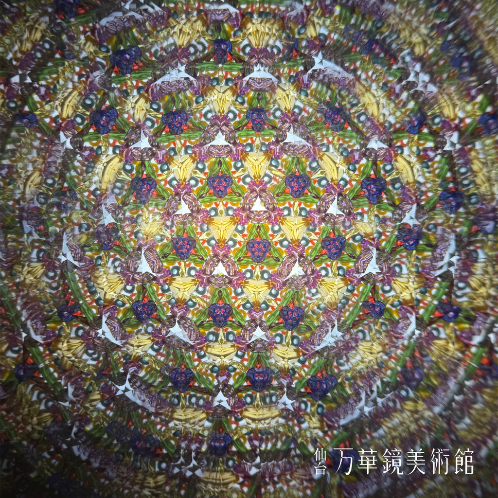 Chamber scope