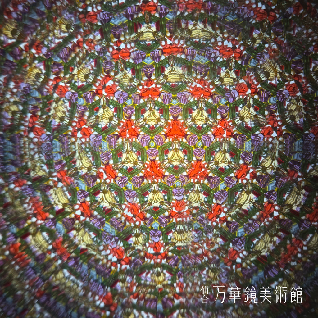 Chamber scope