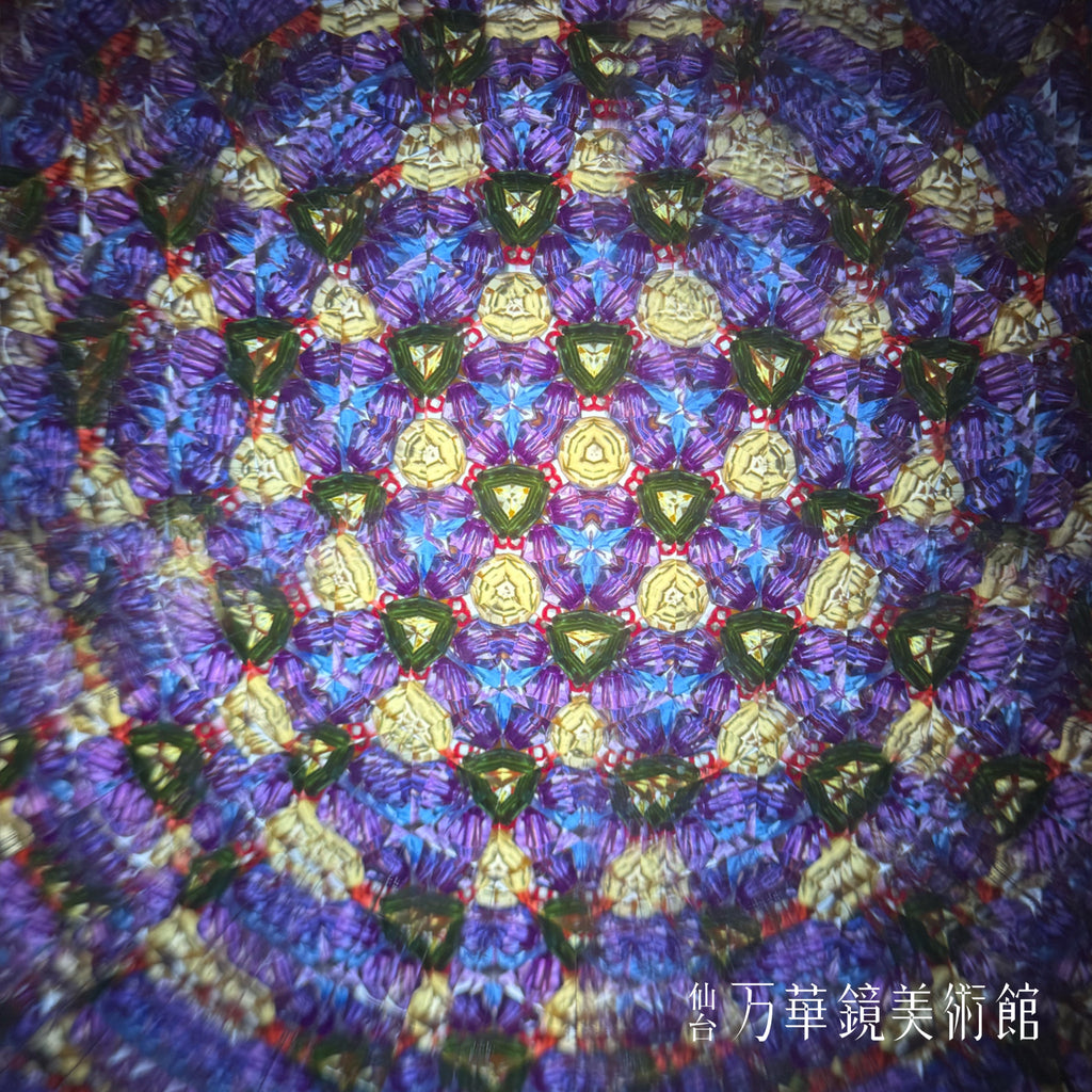 Chamber scope