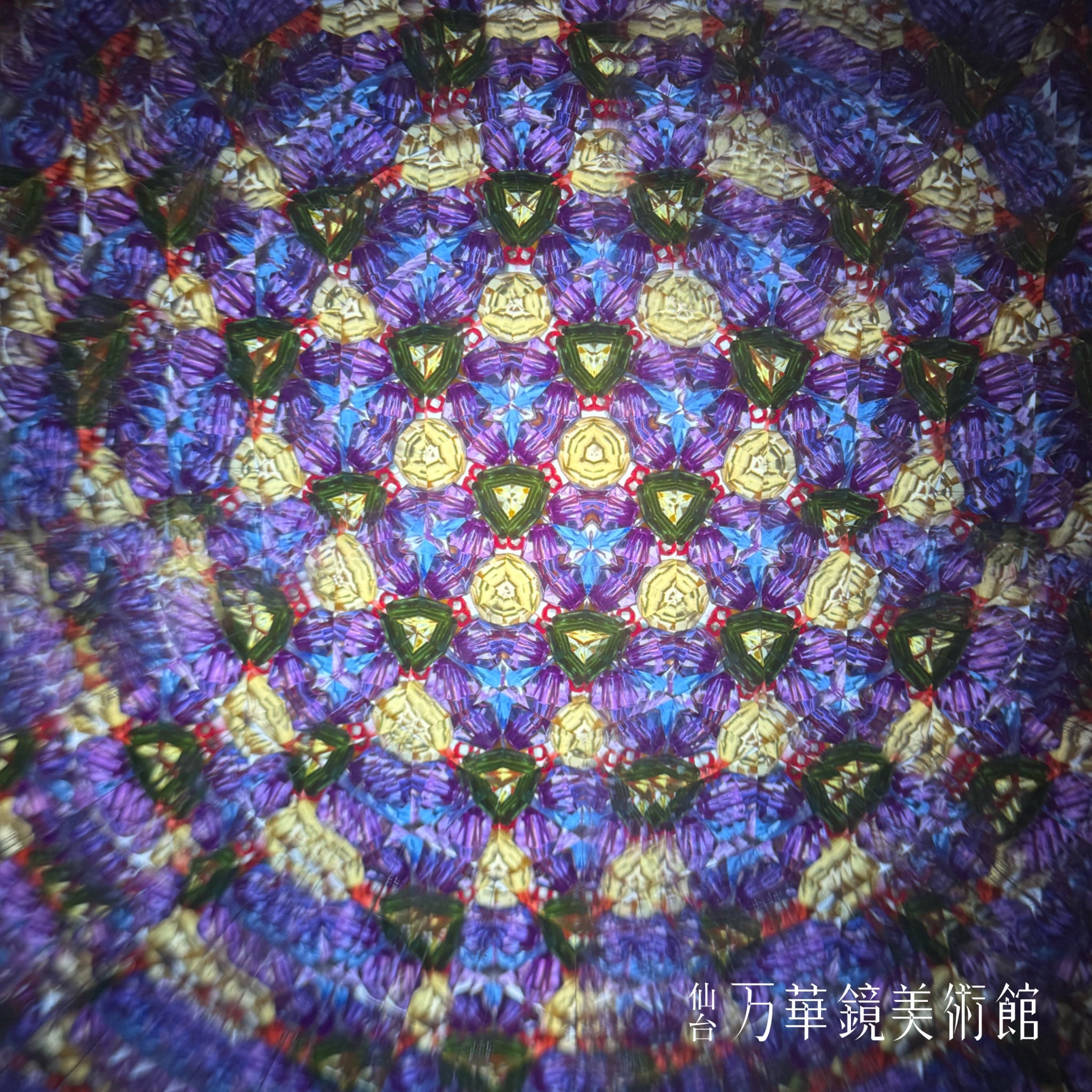 Chamber scope