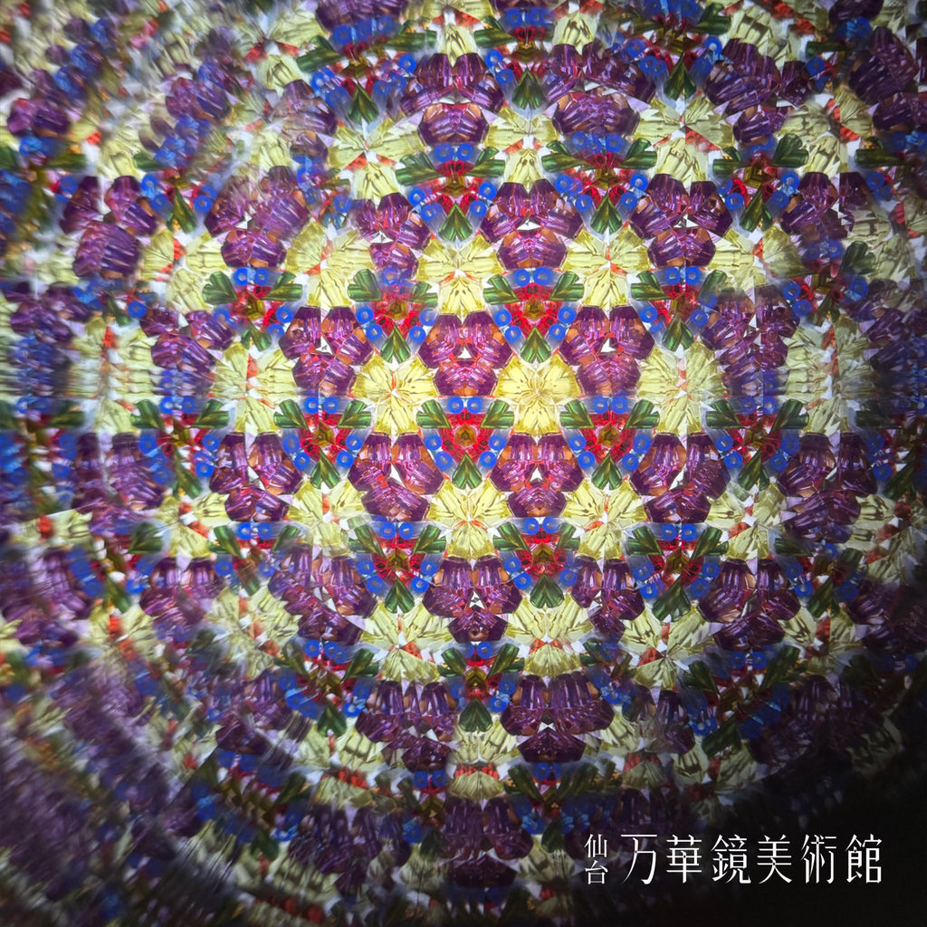 Chamber scope