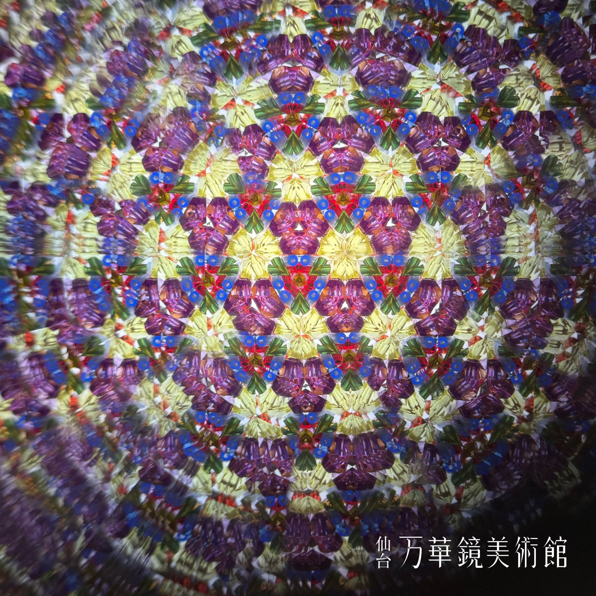 Chamber scope