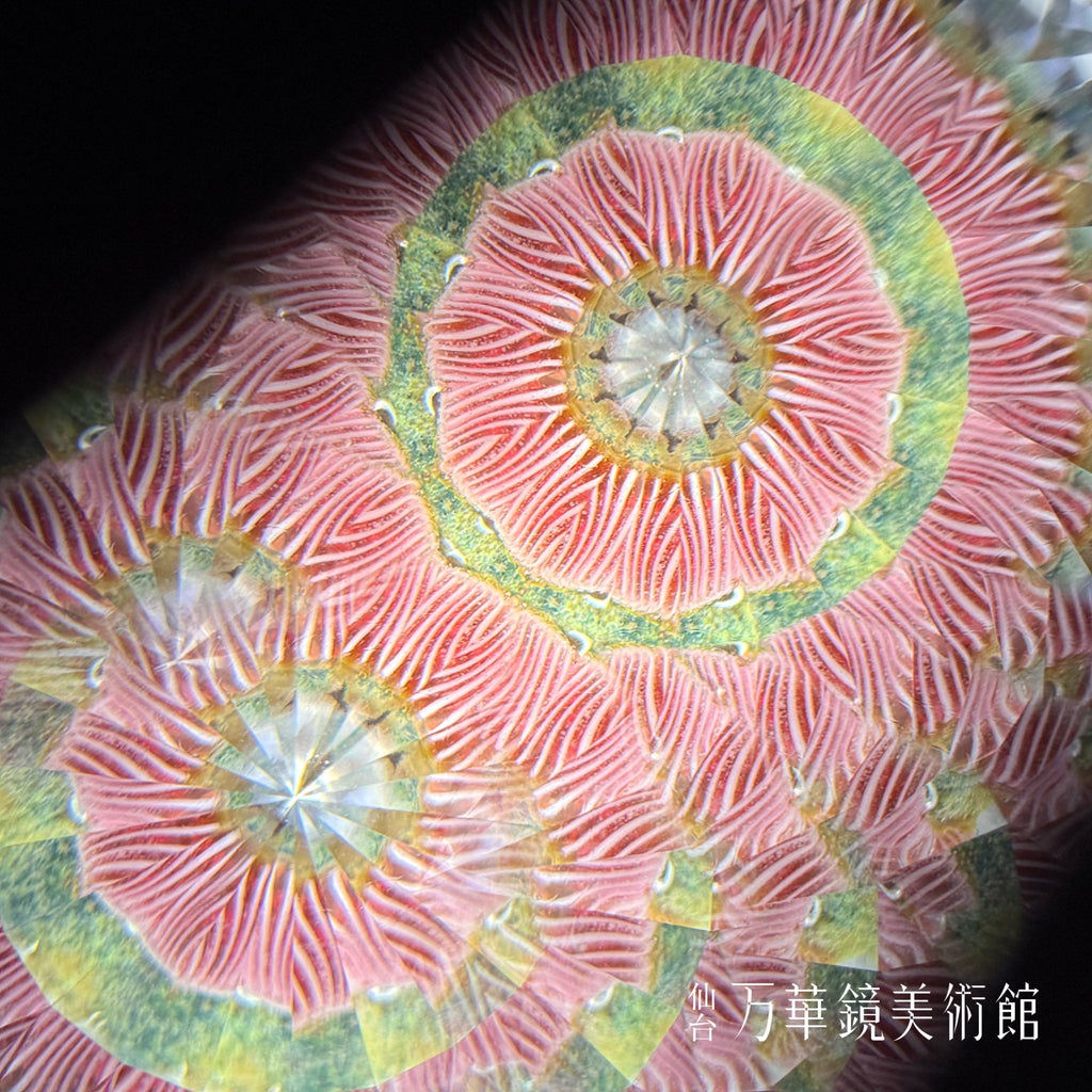 万華鏡　月の世界　花