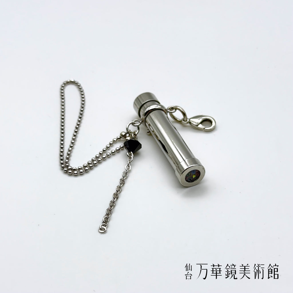 ドックカレイド　