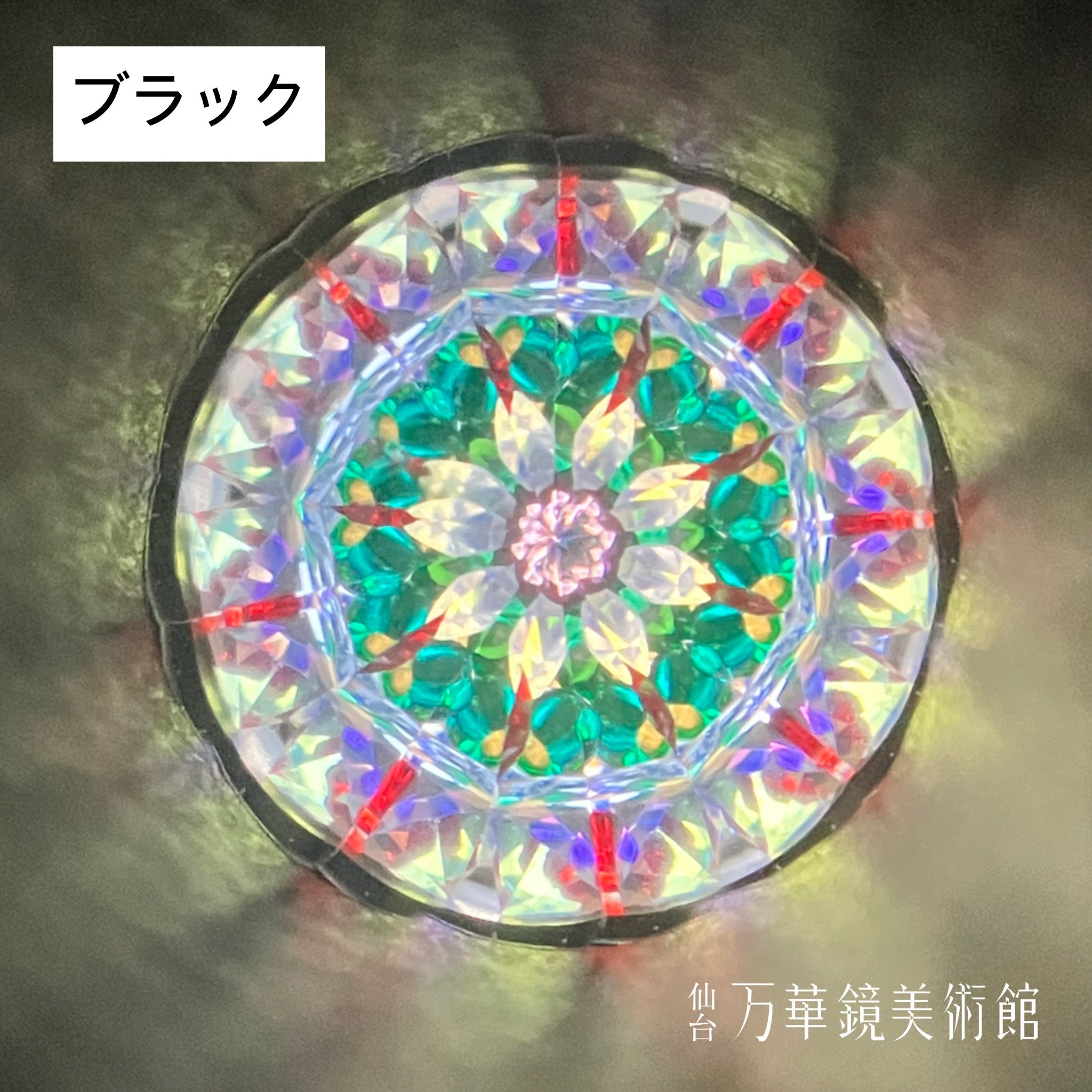 ドックカレイド　