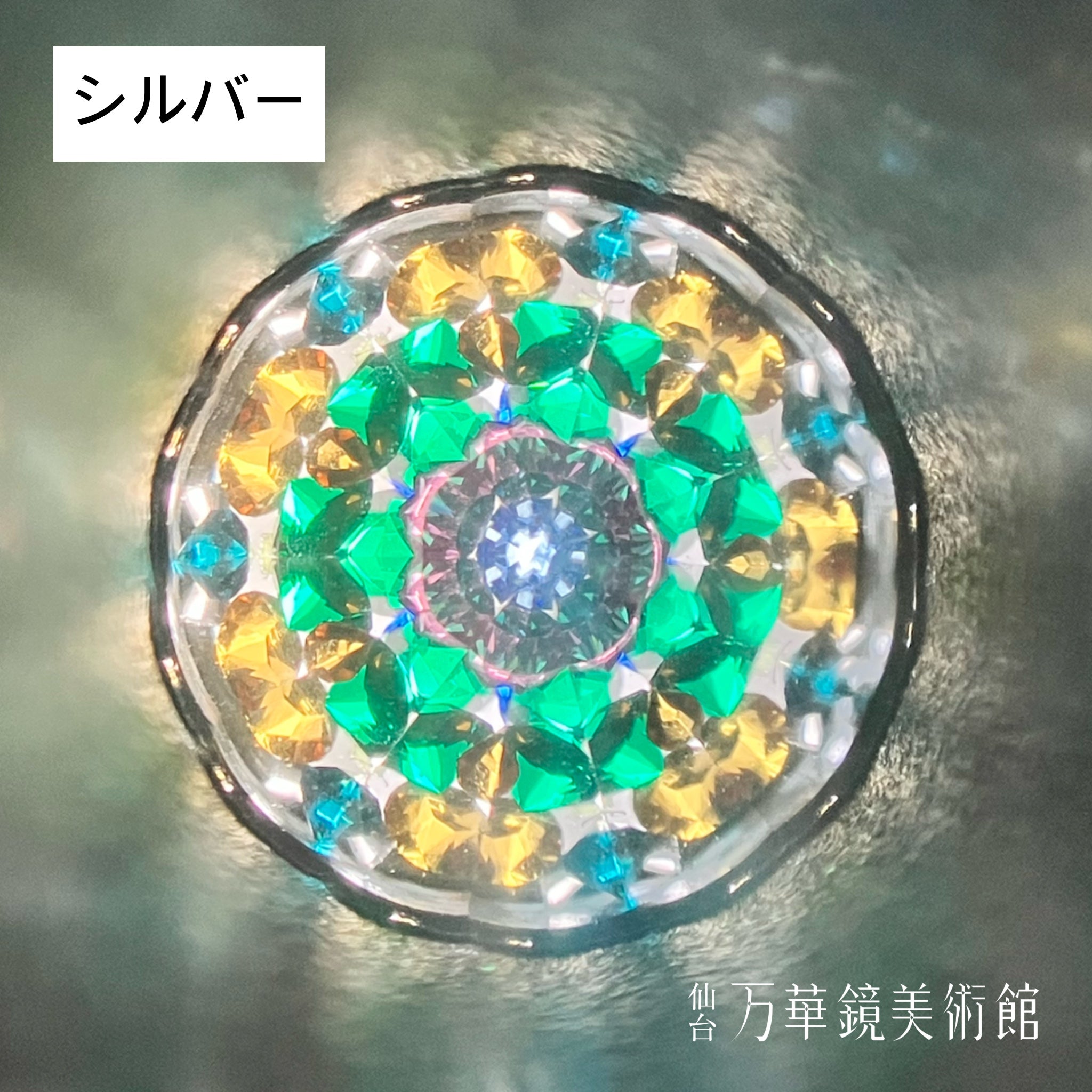 ドックカレイド　