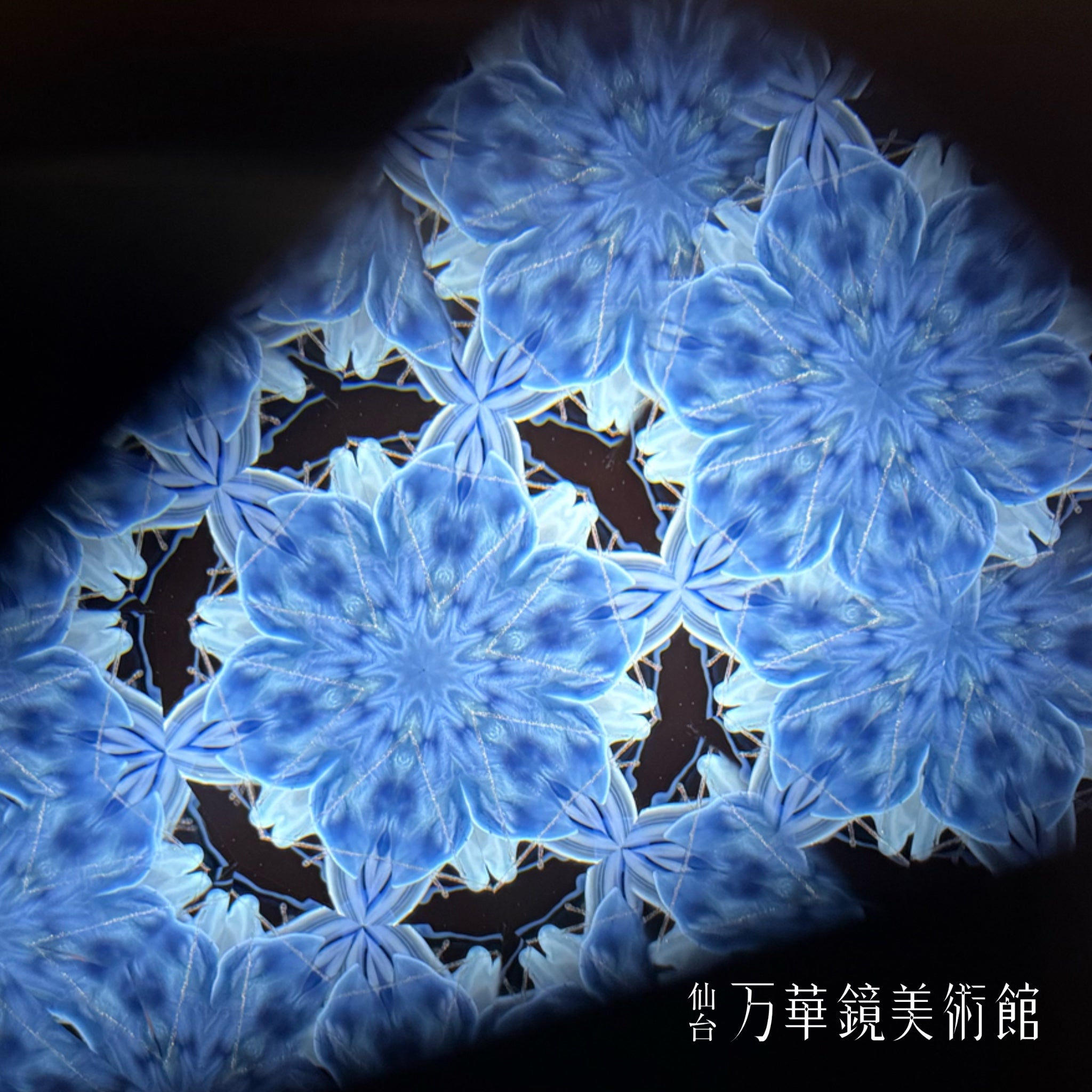 トキノマバタキ（喜多ｘ高林）