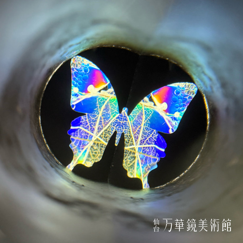 MORPHO