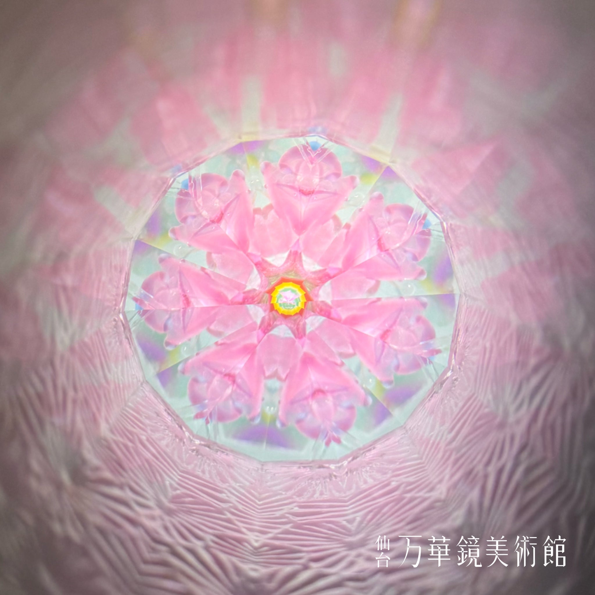 Botanical Sakura
