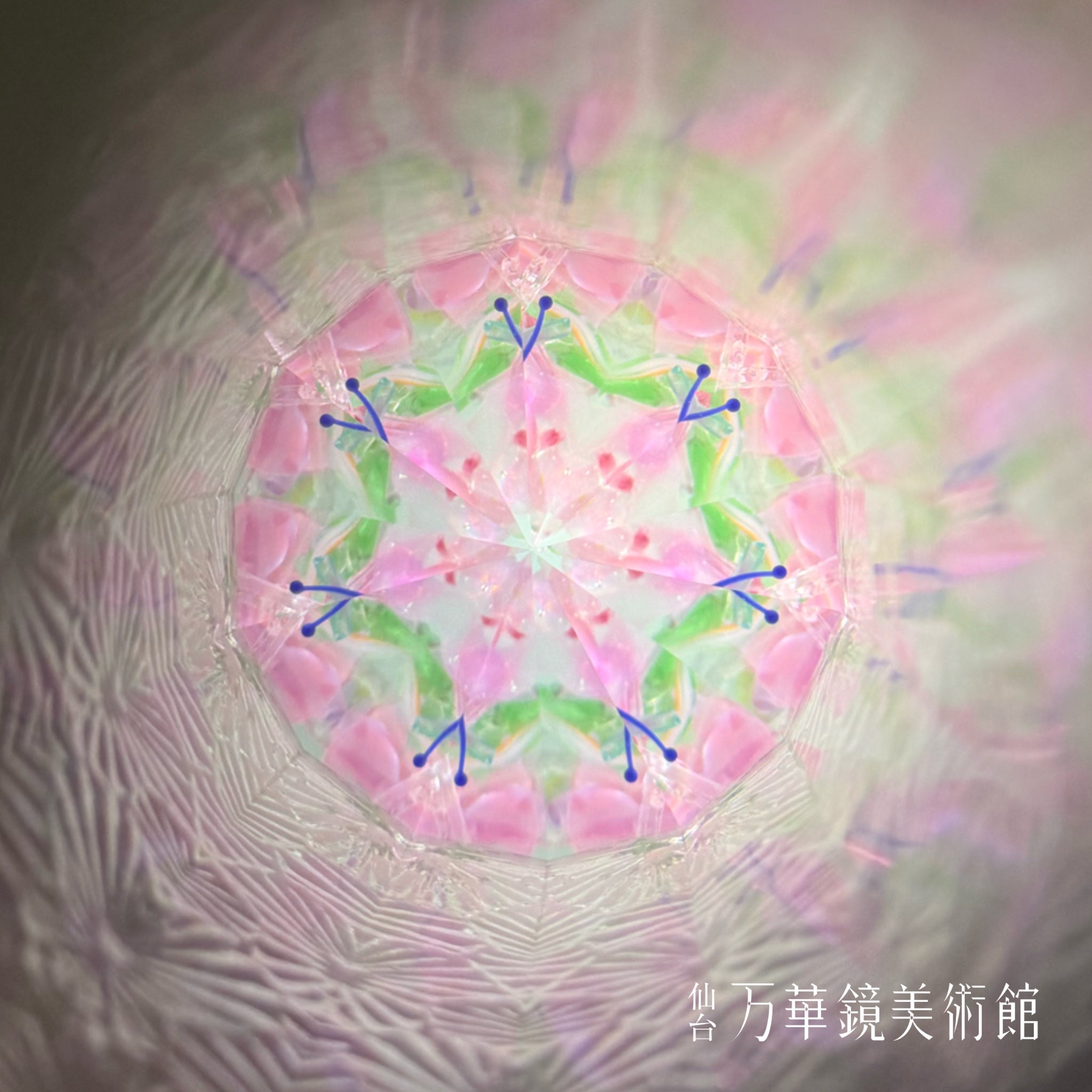 Botanical Sakura