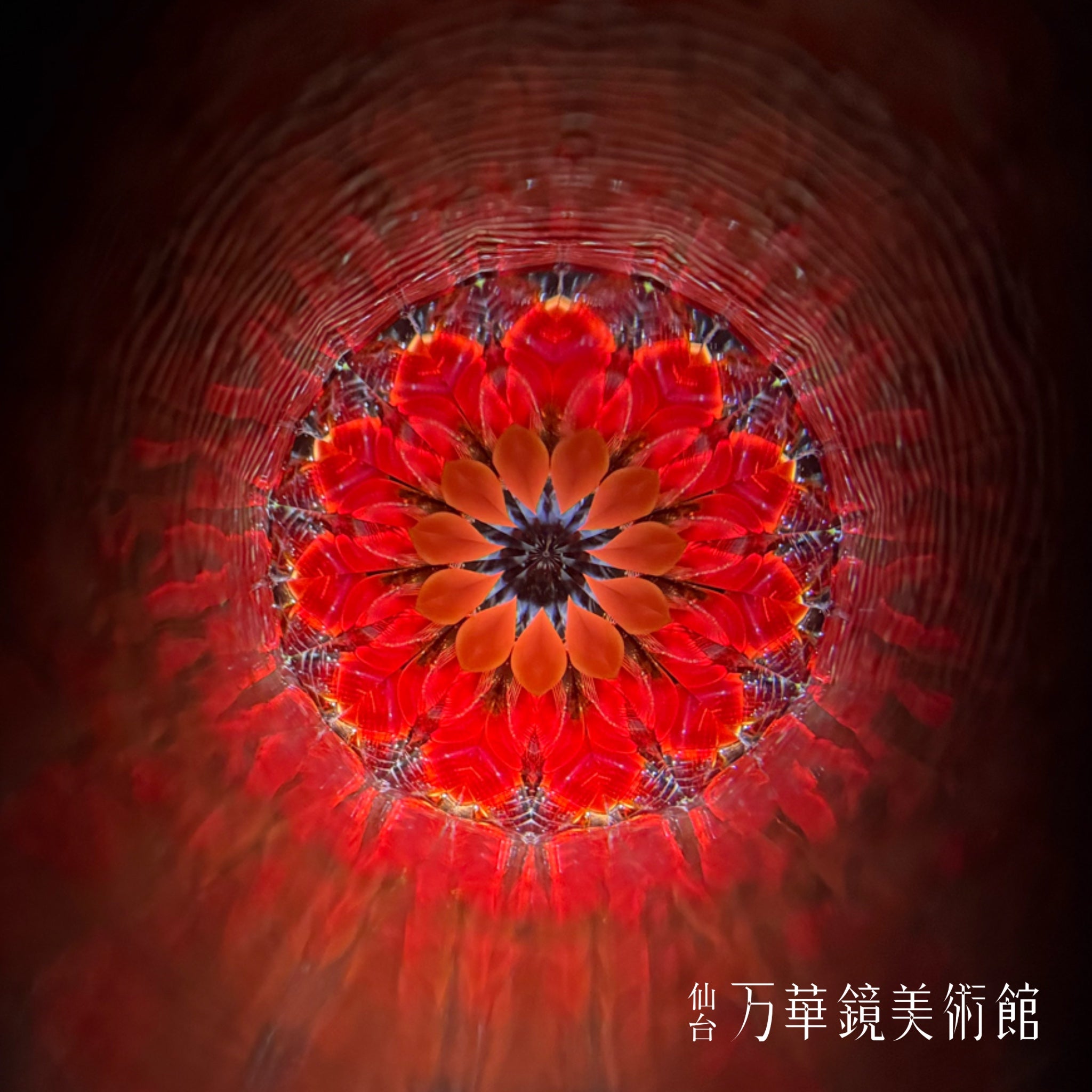 COSMOS