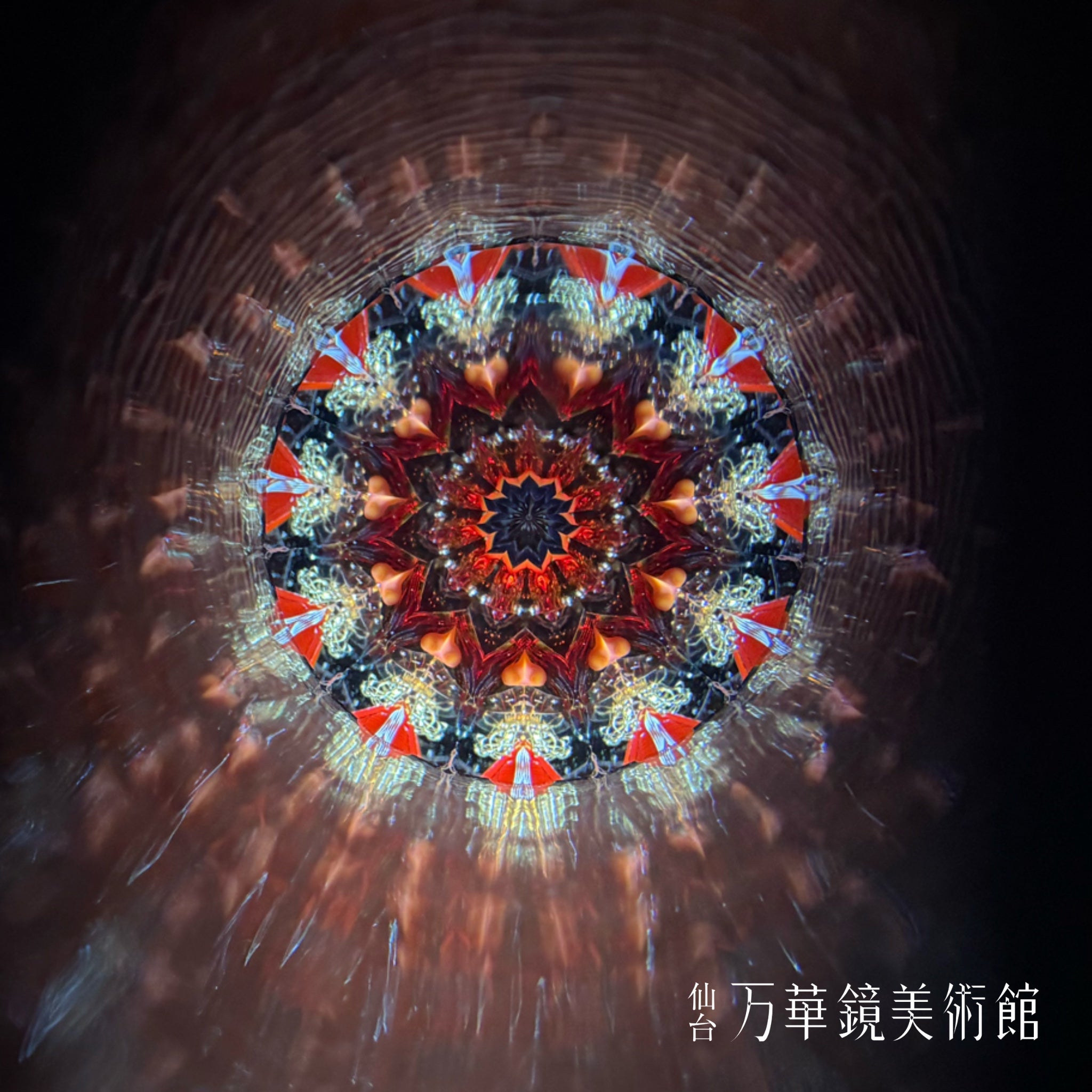 COSMOS