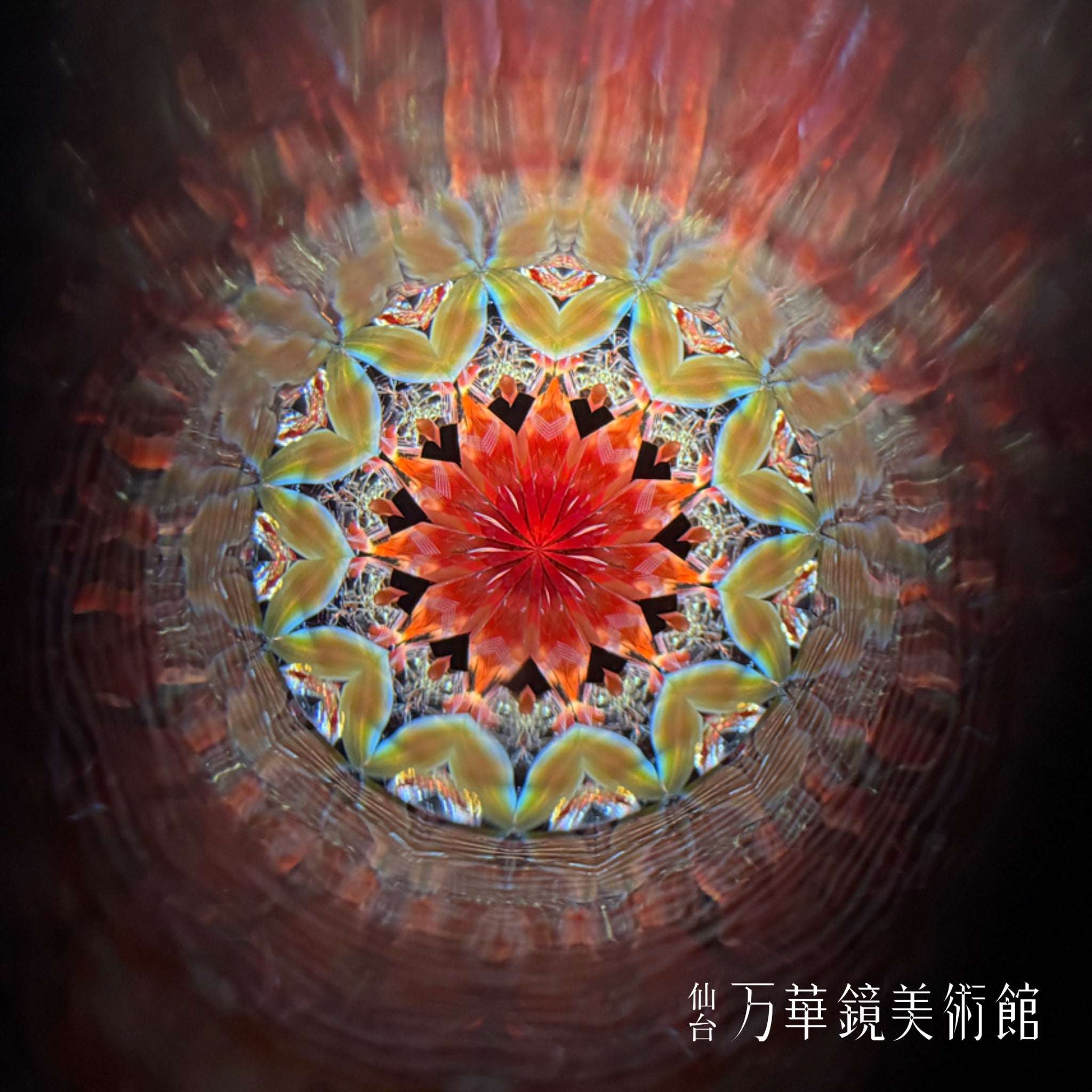 COSMOS