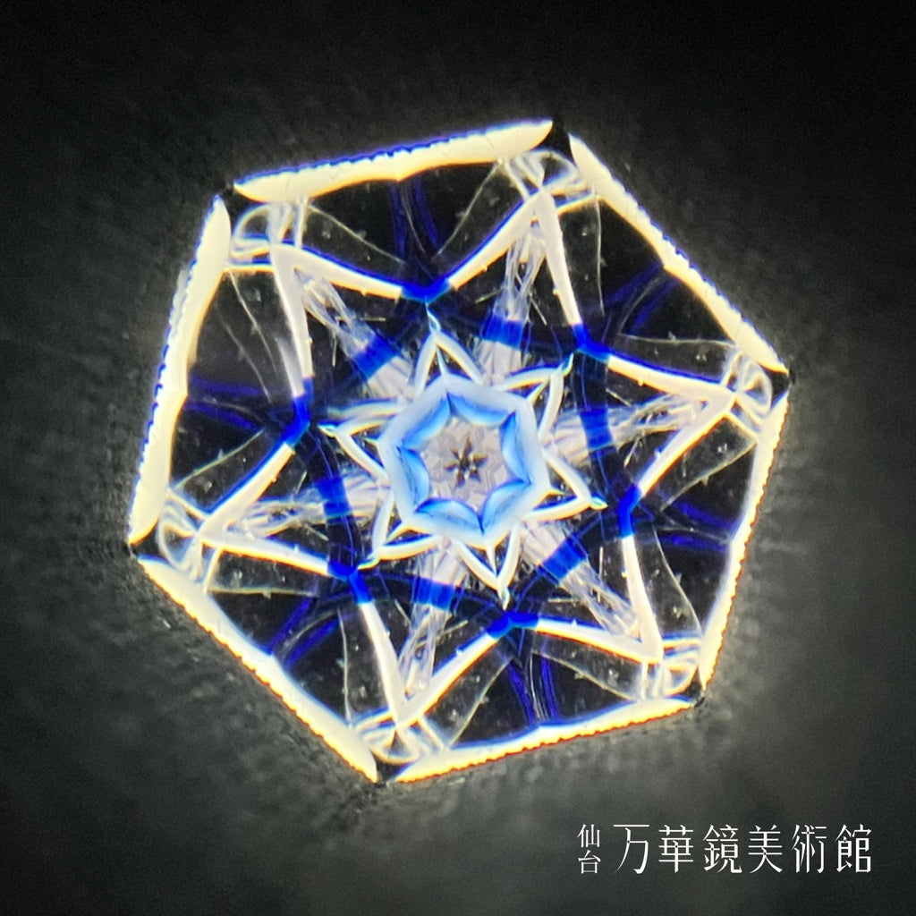 Snow Flower